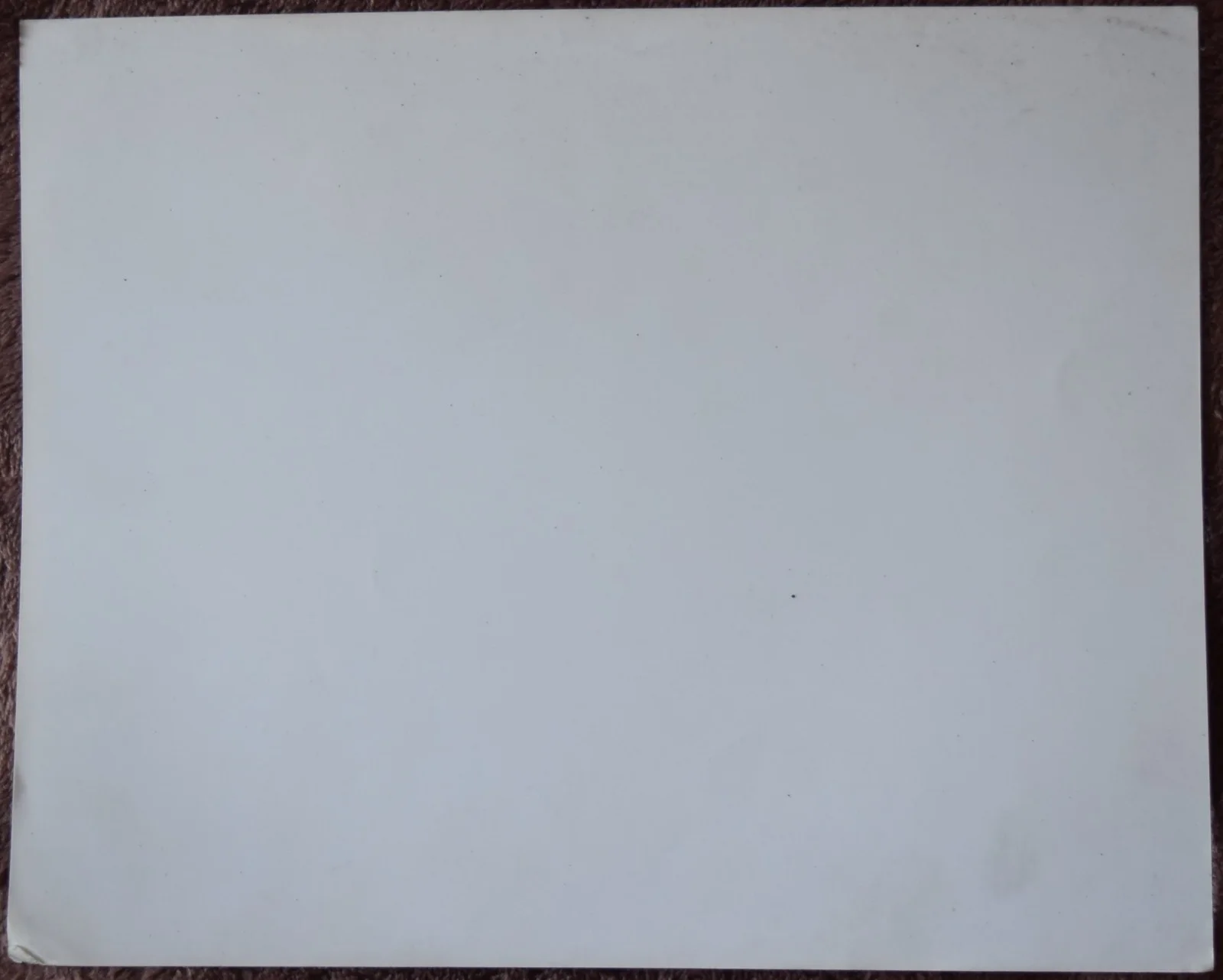Mang-Na Wen (Street Fighter) Hand Signed Photo 10" X8", image 4