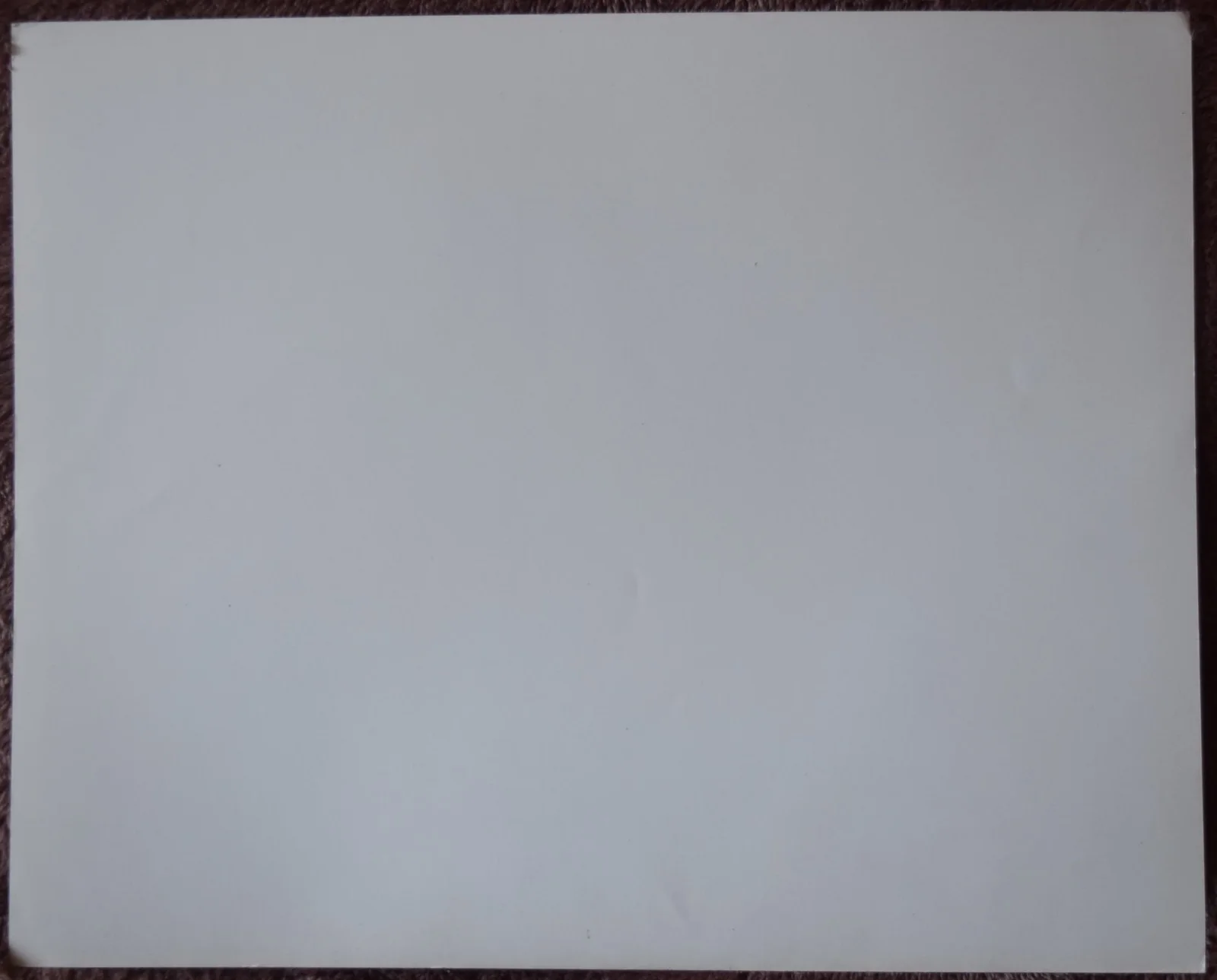 Chloe Webb (The Belly of an Architect) Hand Signed Photo 10" X8", изображение 4