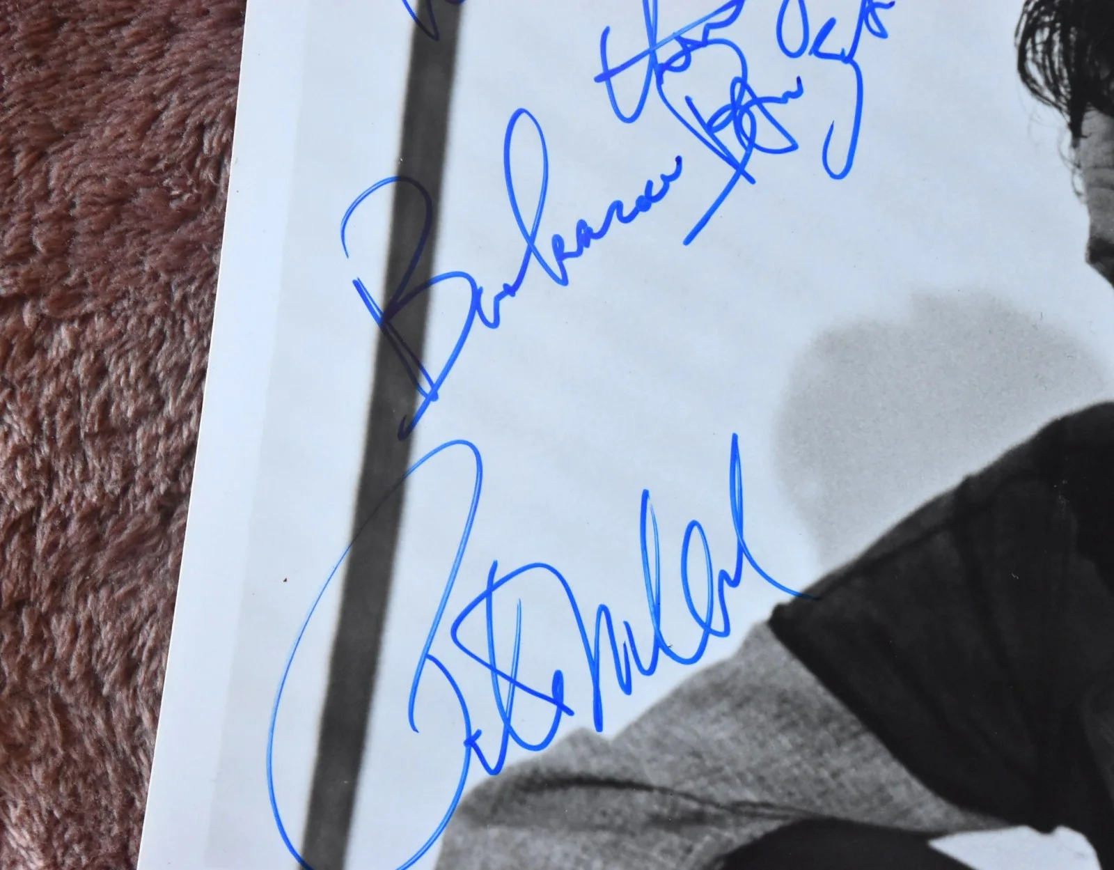 Peter Weller (The Adventures of Buckaroo Banzai) Hand Signed Photo 10" X8", изображение 2