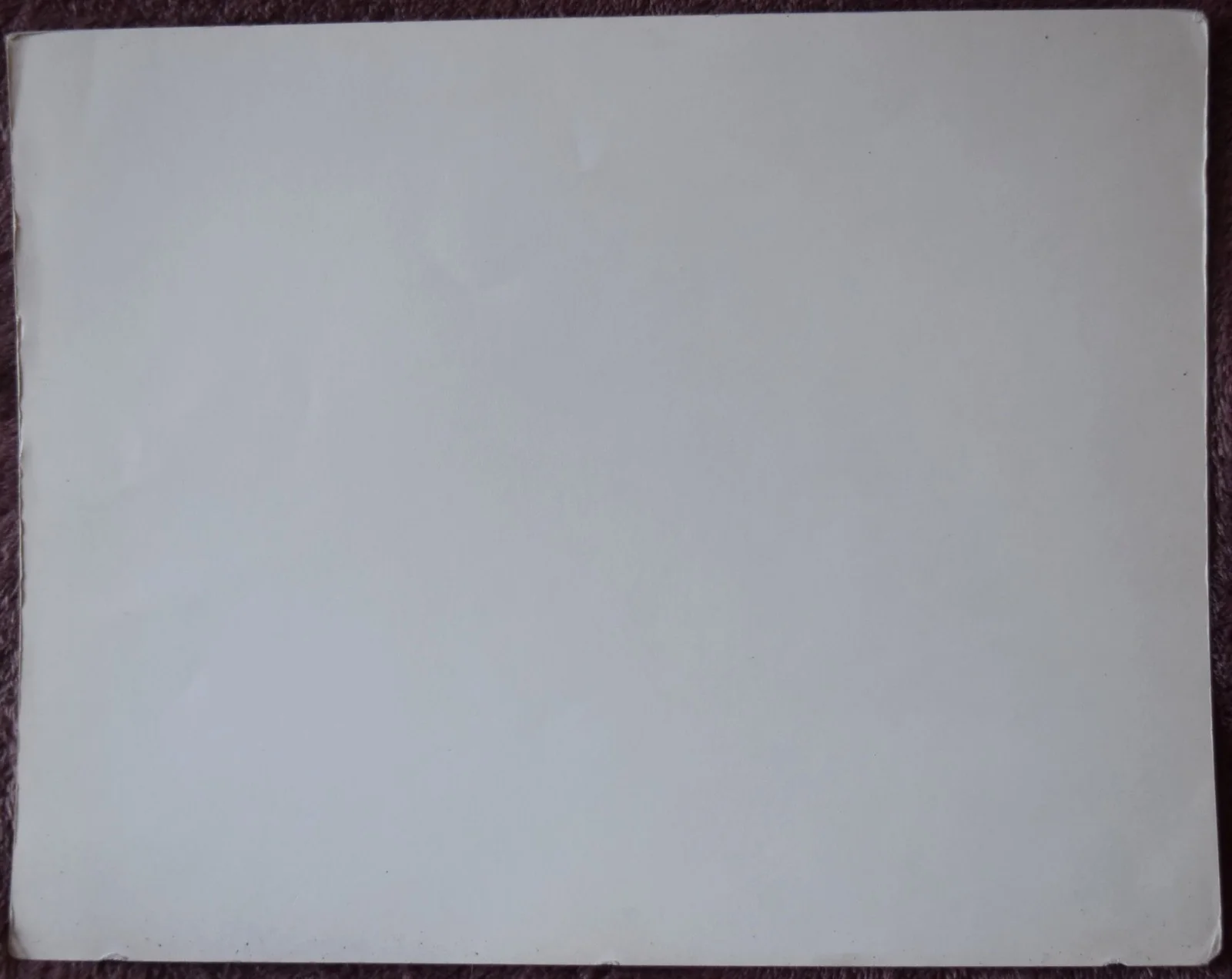 Betty White (The Merv Griffin Show) Hand Signature on Paper 10" X8", изображение 4
