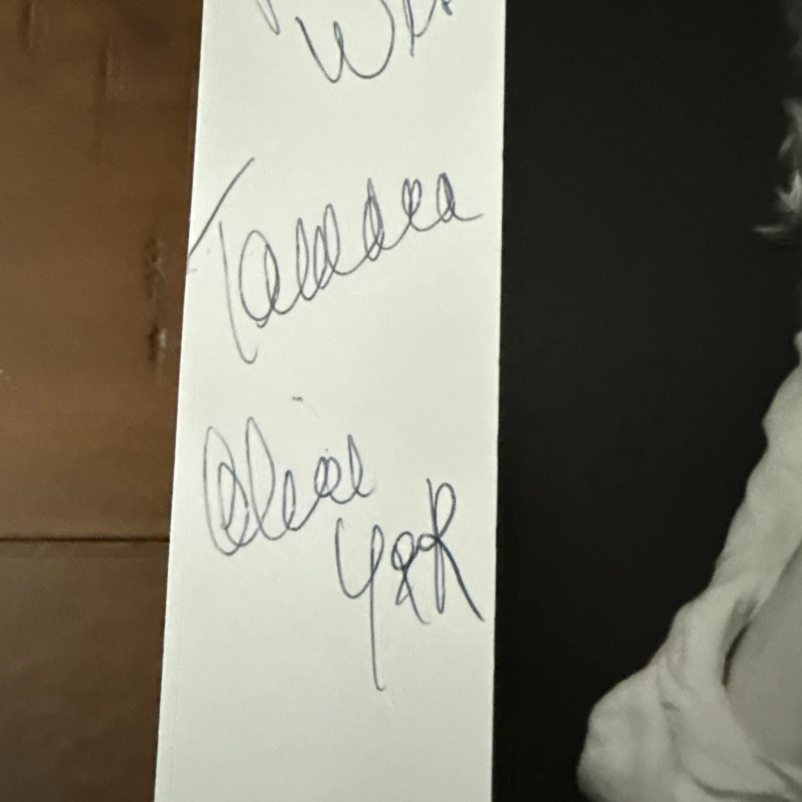 Tamara Clutterbuck — TAMARA CLUTTERBUCK Alice The Young & The Restless 8x10" Photo Signed Autographed, image 5
