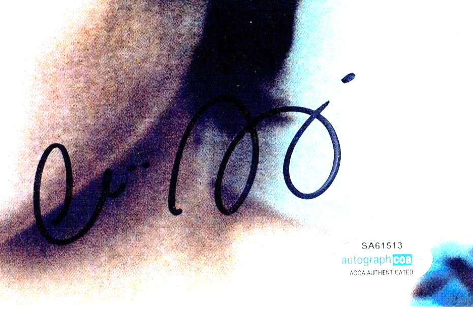 CHLOE SEVIGNY — CHLOE SEVIGNY HAND SIGNED COLOR PHOTO ACTRESS 10X8 ACOA, изображение 2