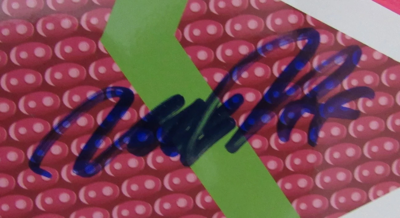 Michael J Fox/Christopher Lloyd Signed Back to the Future Hoverboard JSA BAS 765, изображение 3
