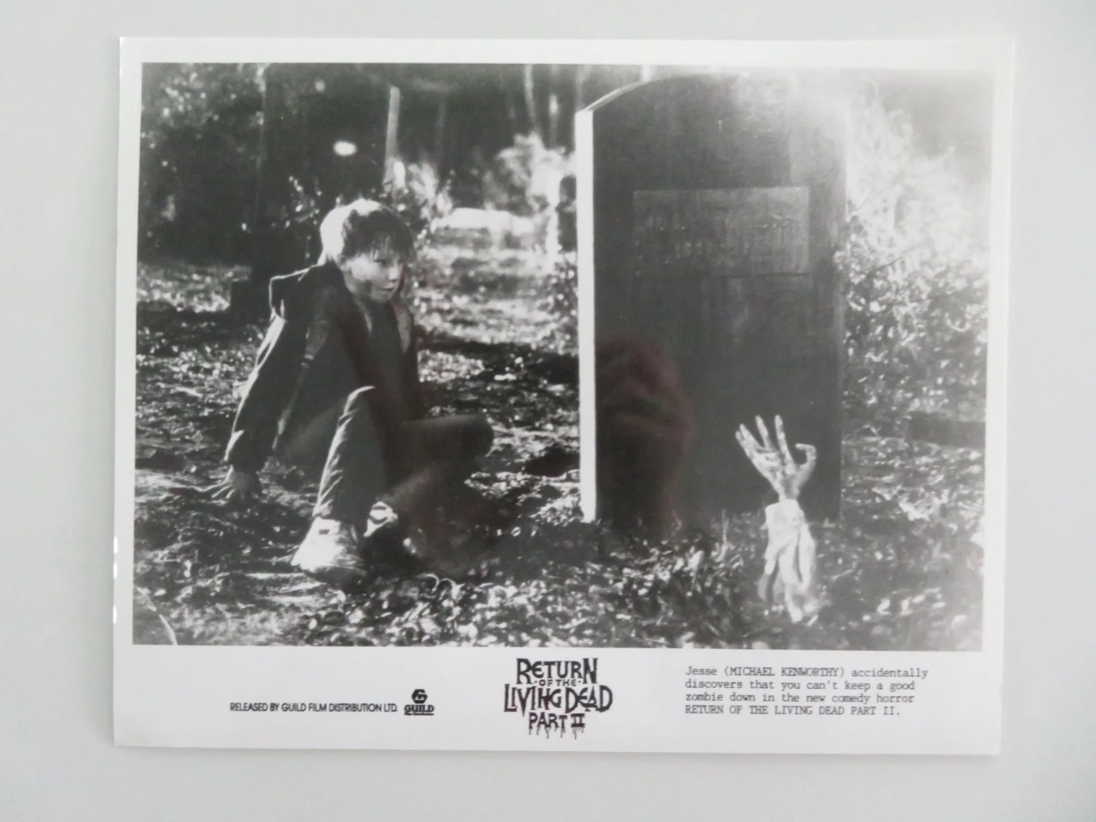 RETURN OF THE LIVING DEAD PART II MOVIE STILL PHOTO LOT OF 5 DANA ASHBROOK 1988, изображение 4