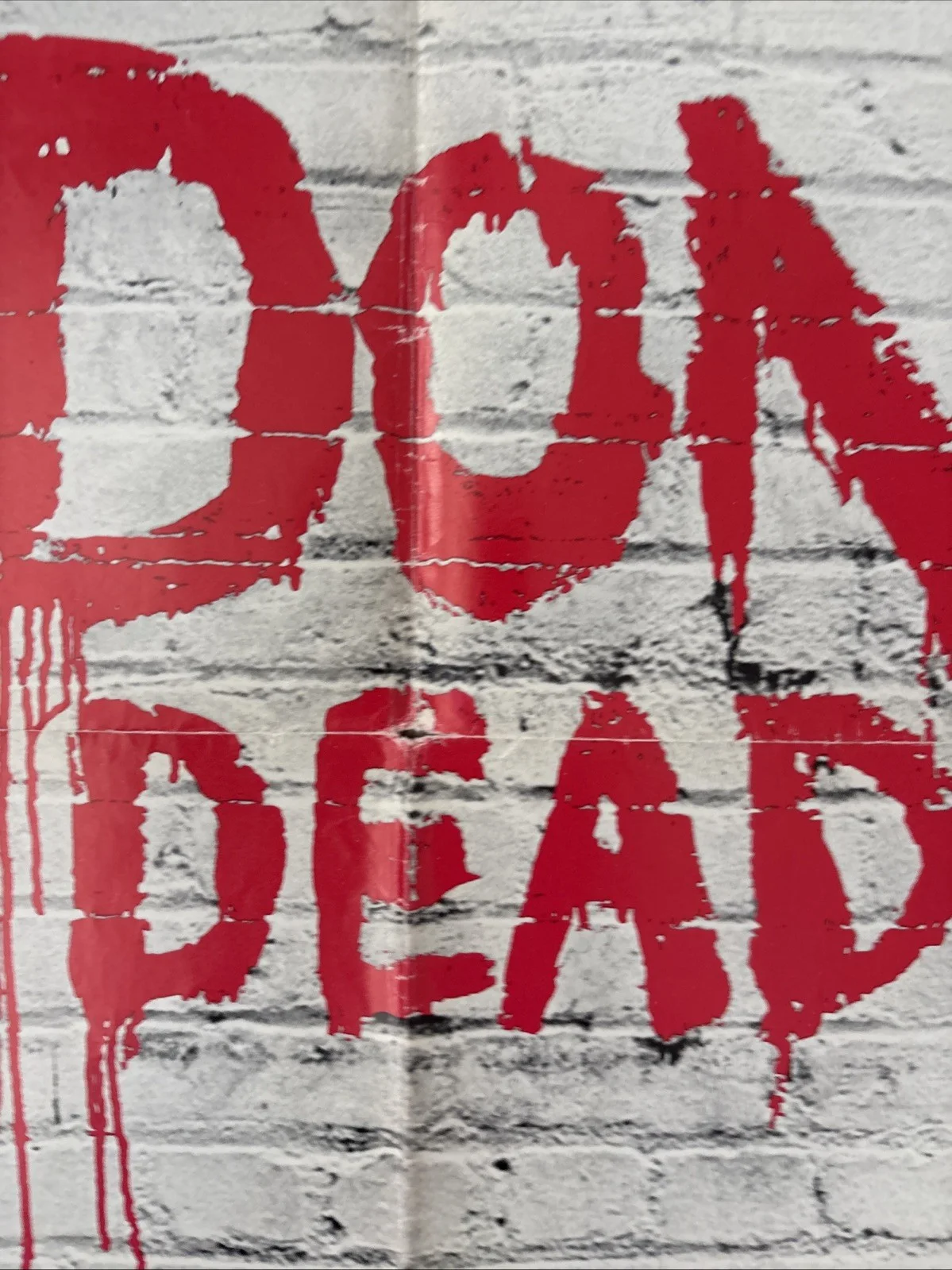 The Don Is Dead (1973) Original US One Sheet Movie Poster, изображение 5