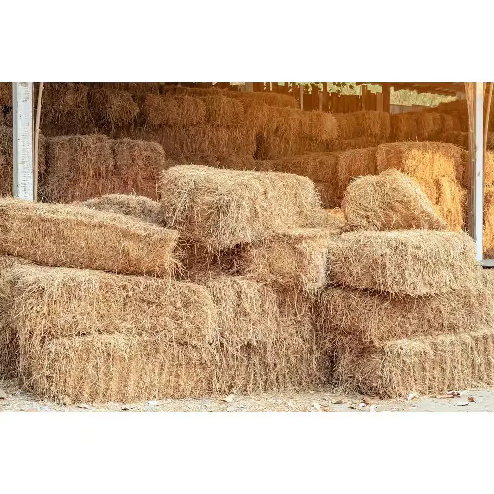 Straw Bale Full Size 40 lb Garden Mulch Animal Bedding Lawn Seeding, изображение 3