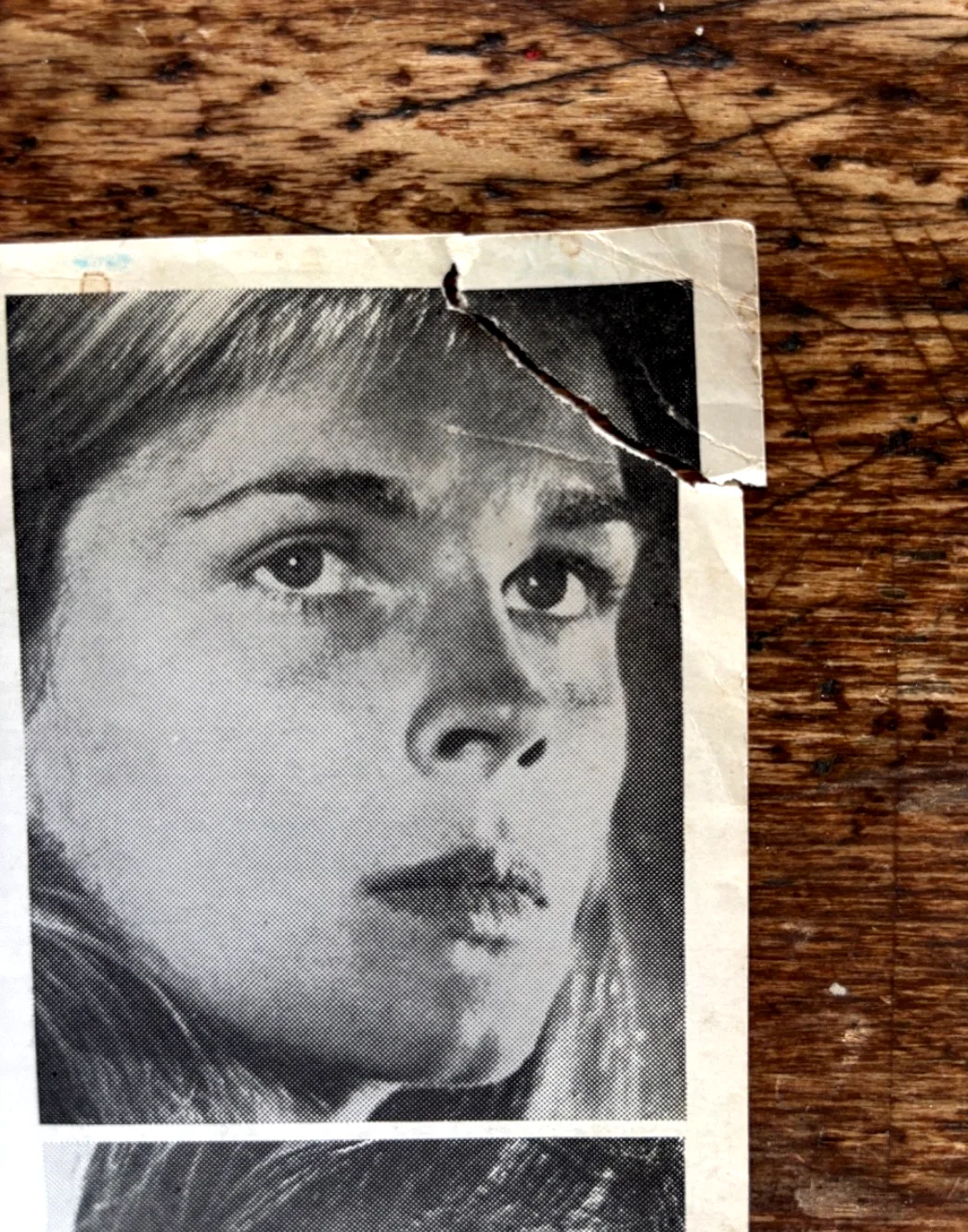 SOLDIER BLUE Press Book 1970 - Western/Exploitation/Candice Bergen/D Pleasence, image 3