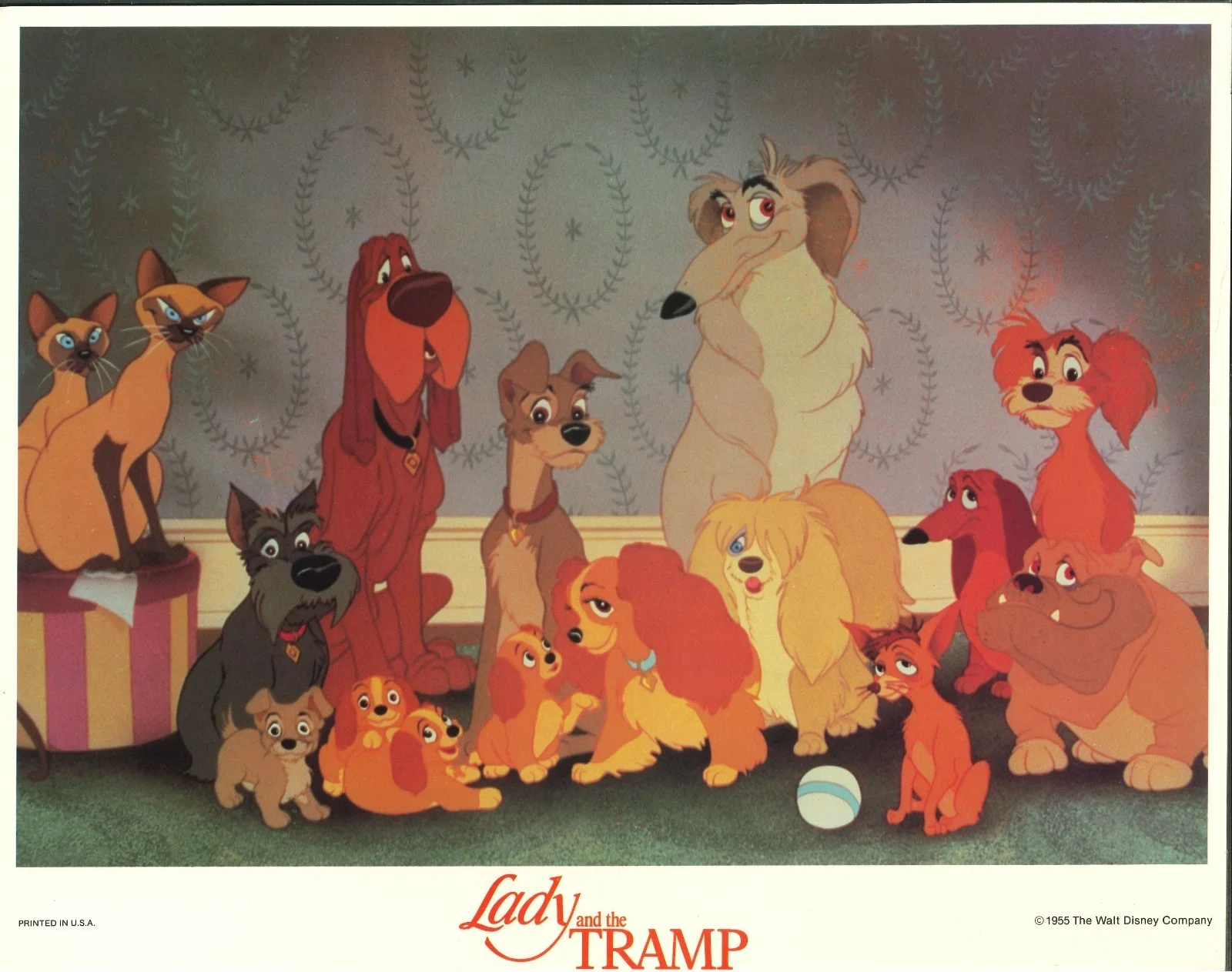 Lady and the Tramp 8x ORIGINAL US Lobby Cards Walt Disney RERELEASE, изображение 4