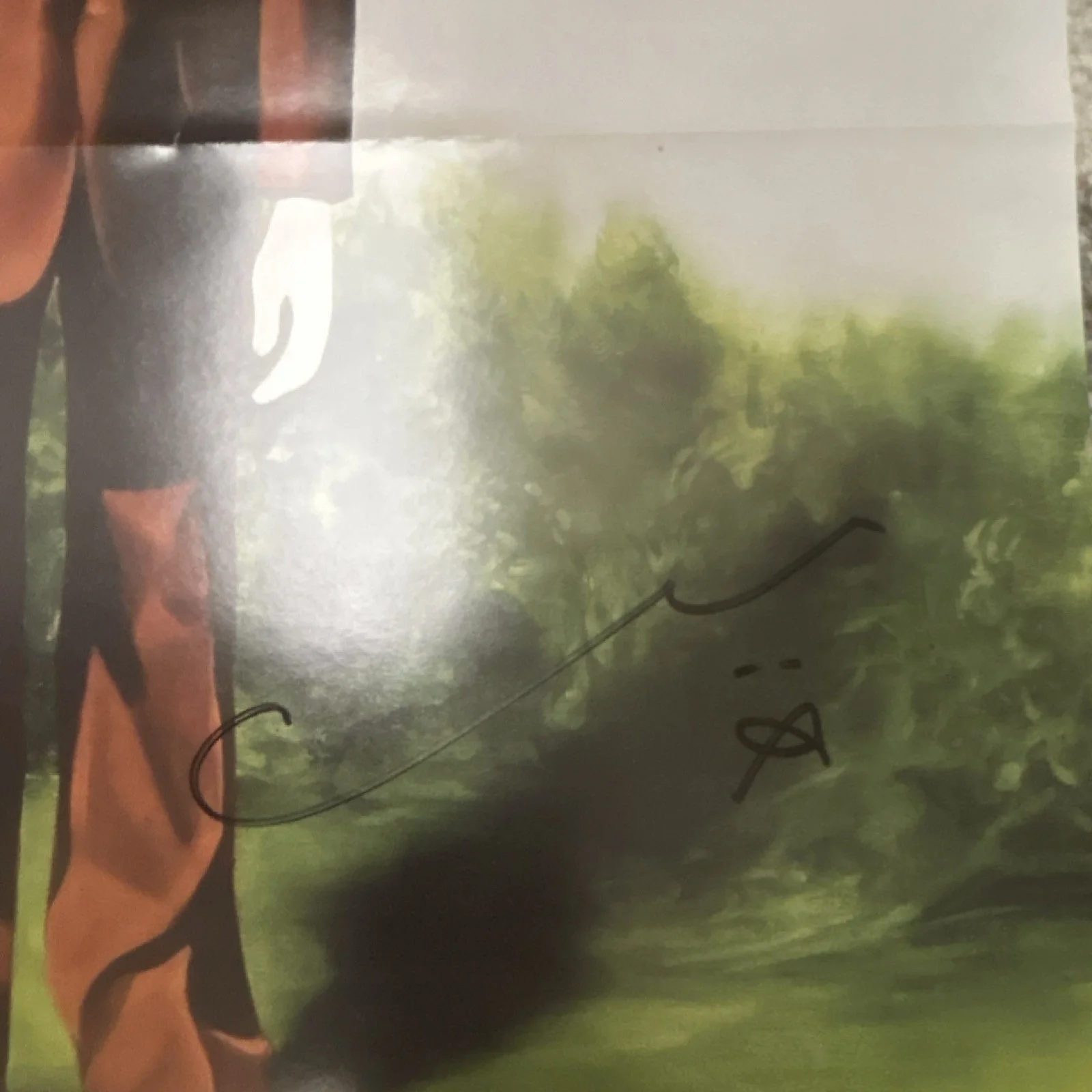 Land of Talk Cloak and Cipher Original Signed Autographed Music Poster, image 4