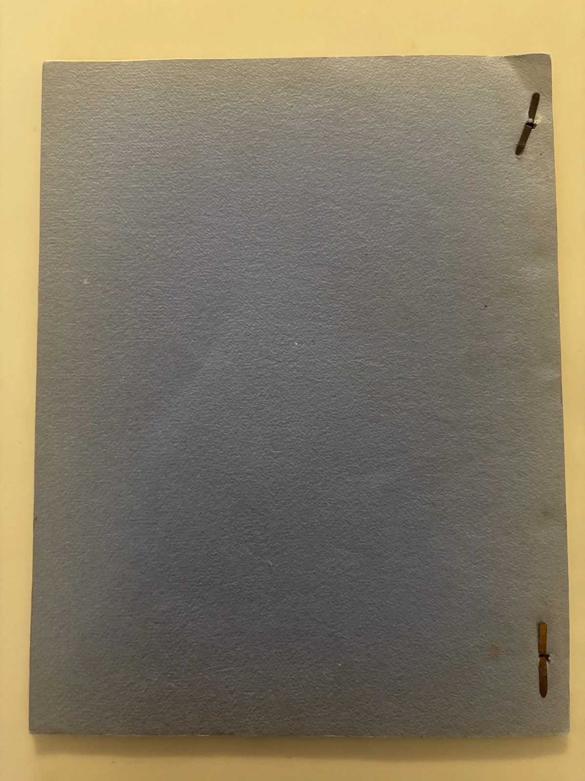Stunt Man Troy Melton — "The Cisco Kid"-Original script of Duncan Renaldo's Stuntman Troy Melton Signed, изображение 5