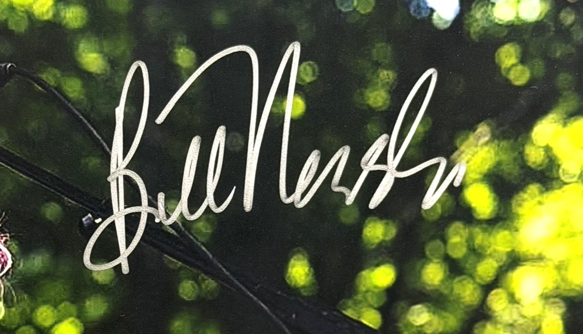 Bill Nershi Signed 8x10 Photo String Cheese Incident JSA Authenticated CI67987, image 3