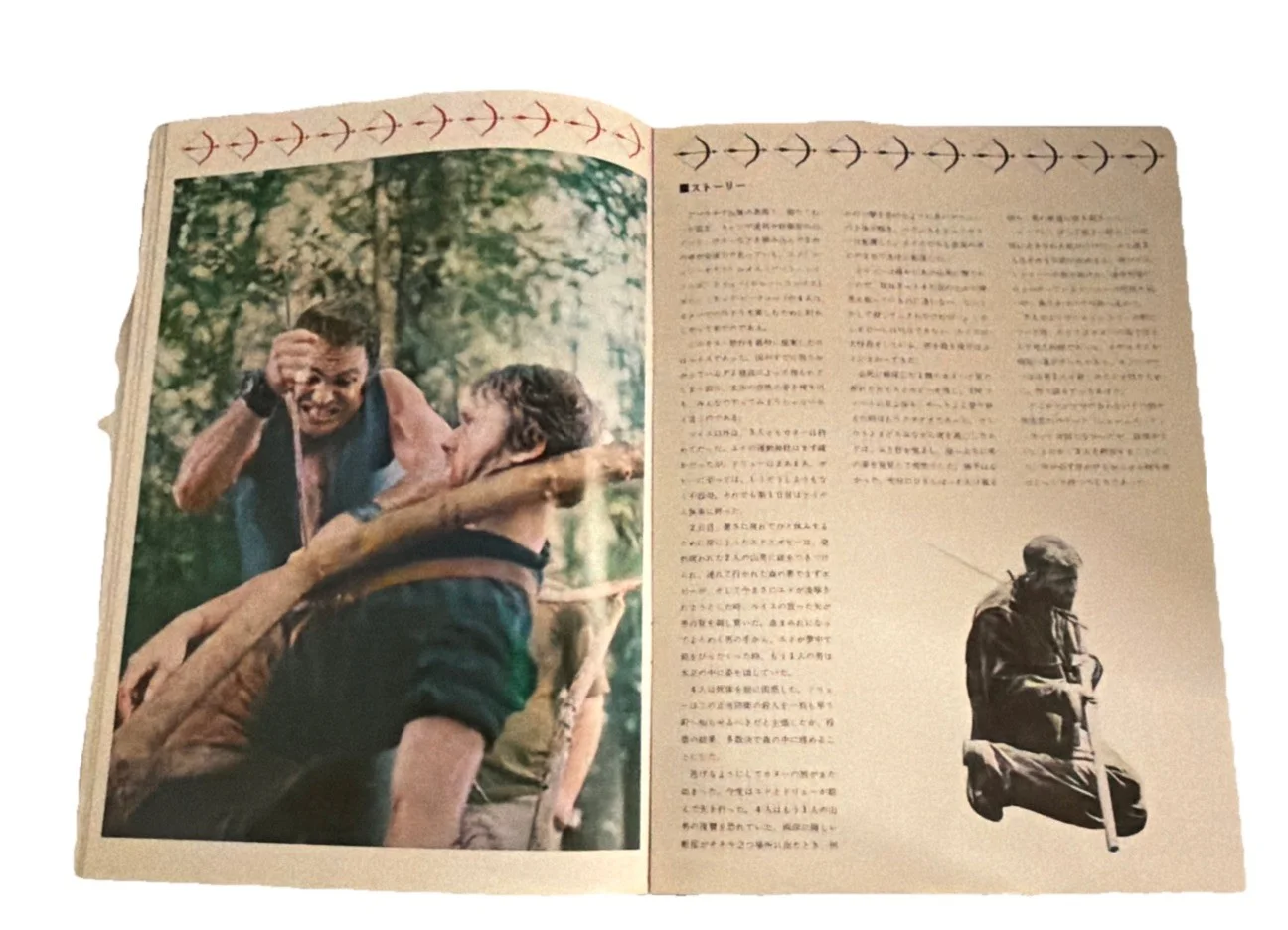 DELIVERANCE 1972 JAPANESE VERY RARE PROGRAM USED, image 4
