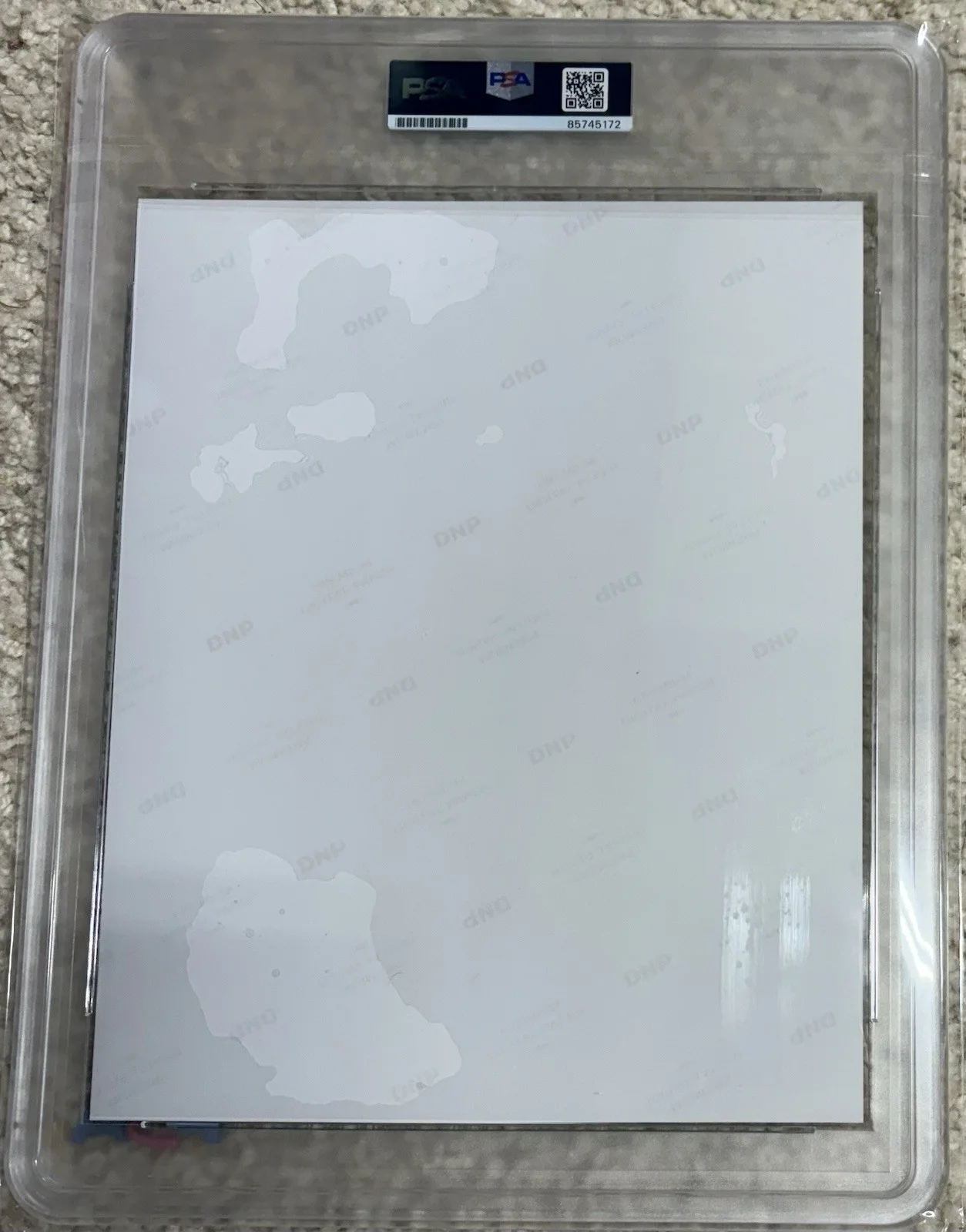 Noah Kahan Signed Autograph 8x10 Photo GEM MT 10 Auto PSA/DNA Slabbed, image 2
