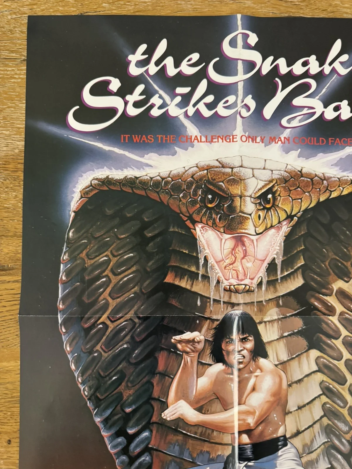 The Snake Strikes Back Original Video Shop VHS Poster 1980 Rare, image 2