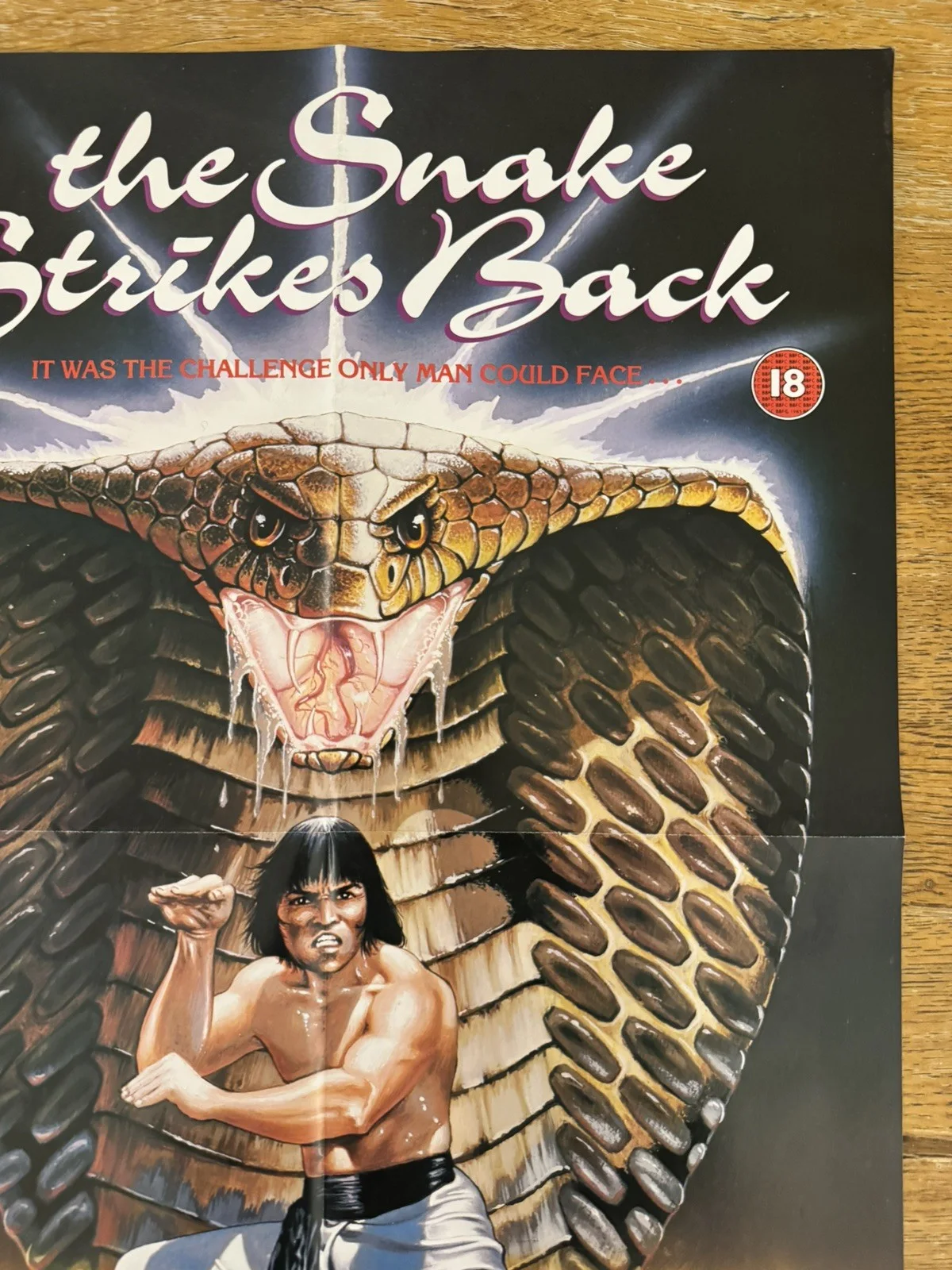 The Snake Strikes Back Original Video Shop VHS Poster 1980 Rare, image 3