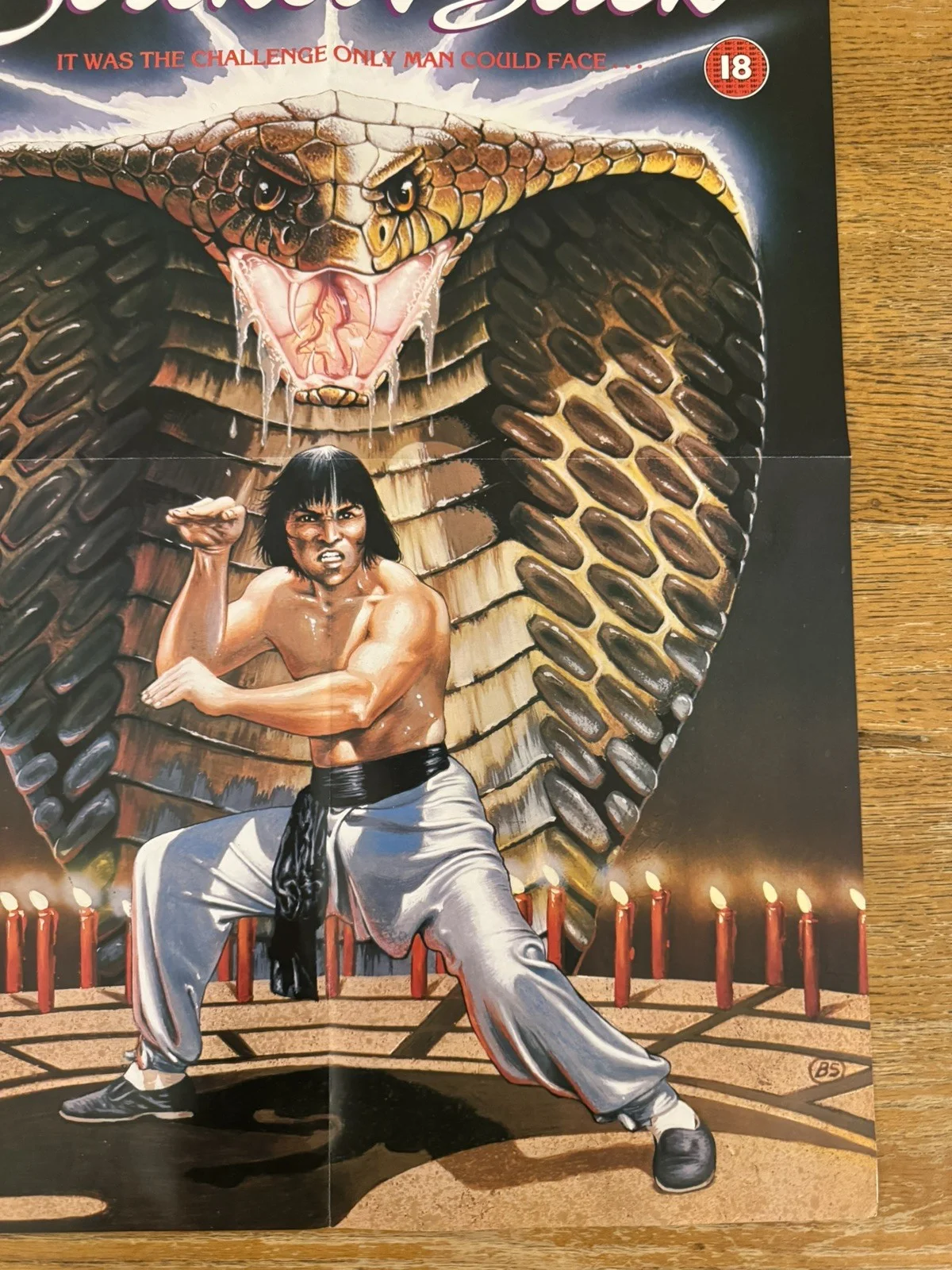 The Snake Strikes Back Original Video Shop VHS Poster 1980 Rare, image 4