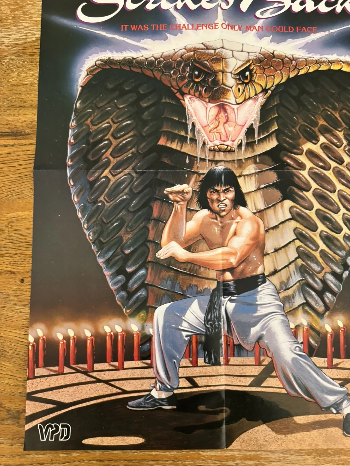 The Snake Strikes Back Original Video Shop VHS Poster 1980 Rare, image 5