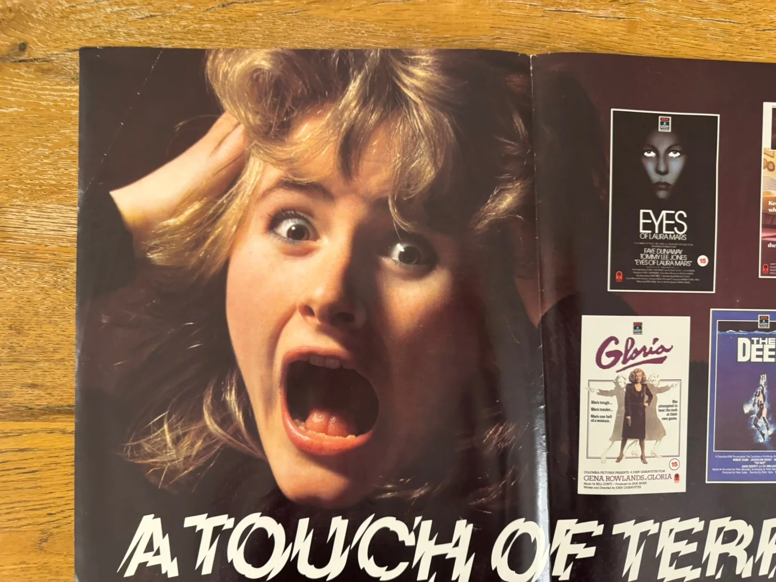 A Touch Of Terror Rare Video Shop VHS Poster 1980s, изображение 3