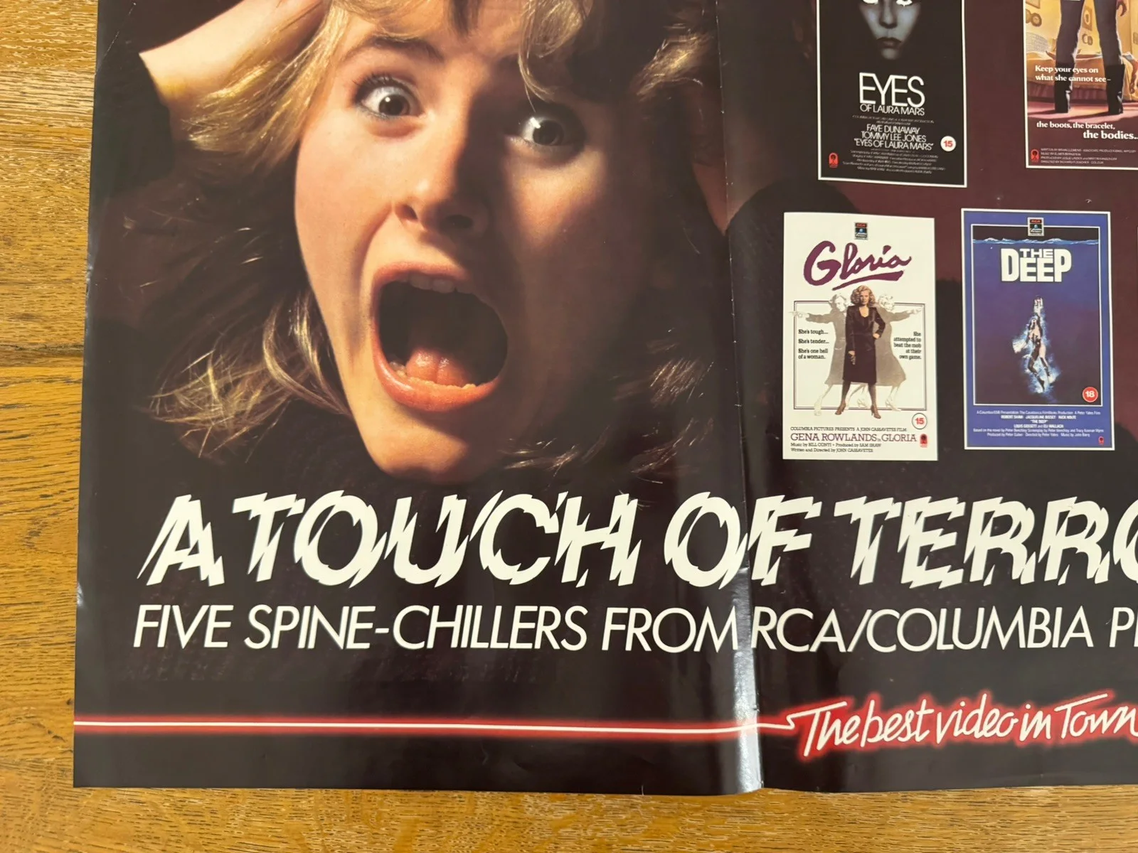 A Touch Of Terror Rare Video Shop VHS Poster 1980s, изображение 5