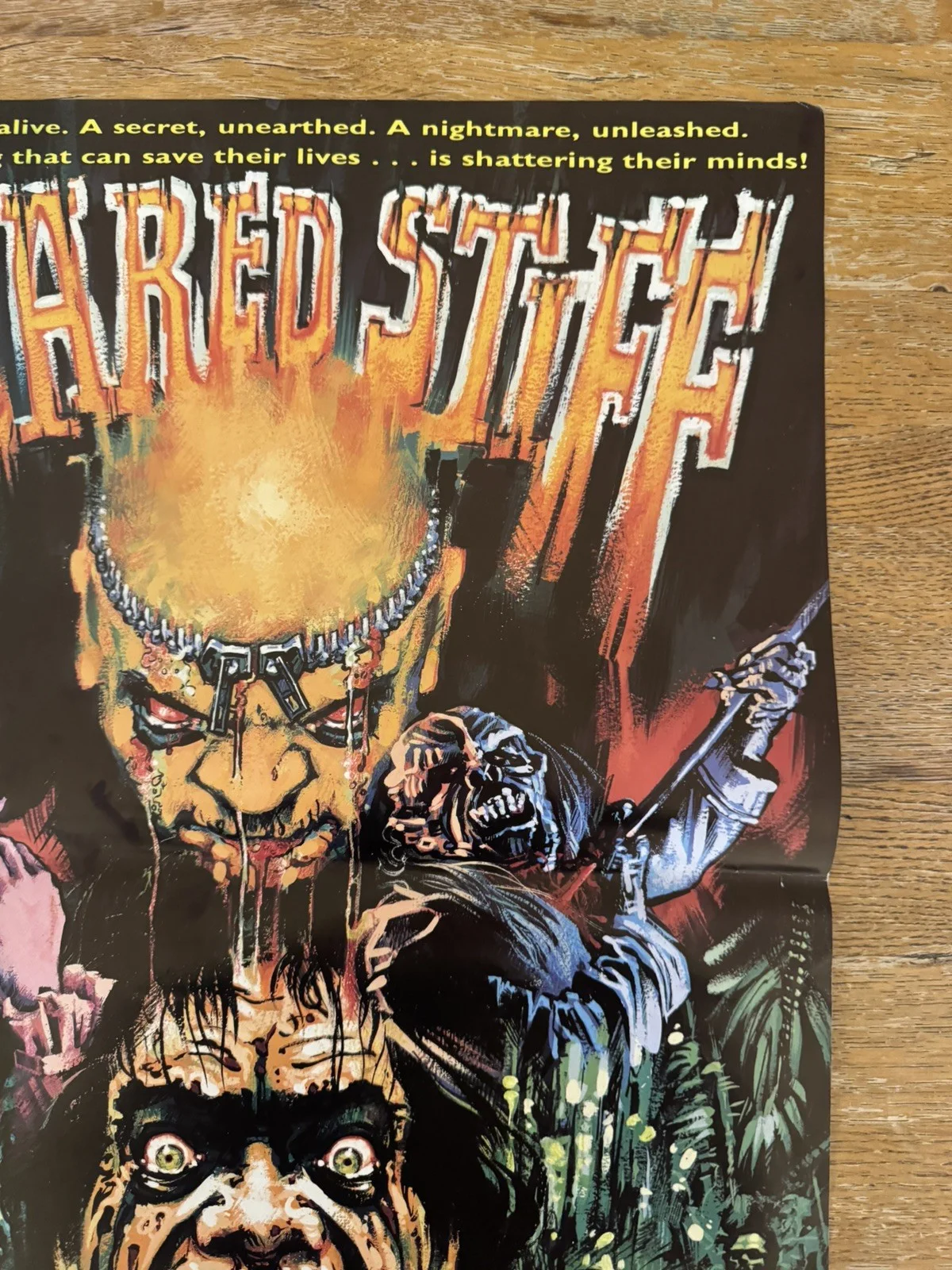 Scared Stiff rare Graham humphries Video Shop VHS Poster 1987, изображение 3