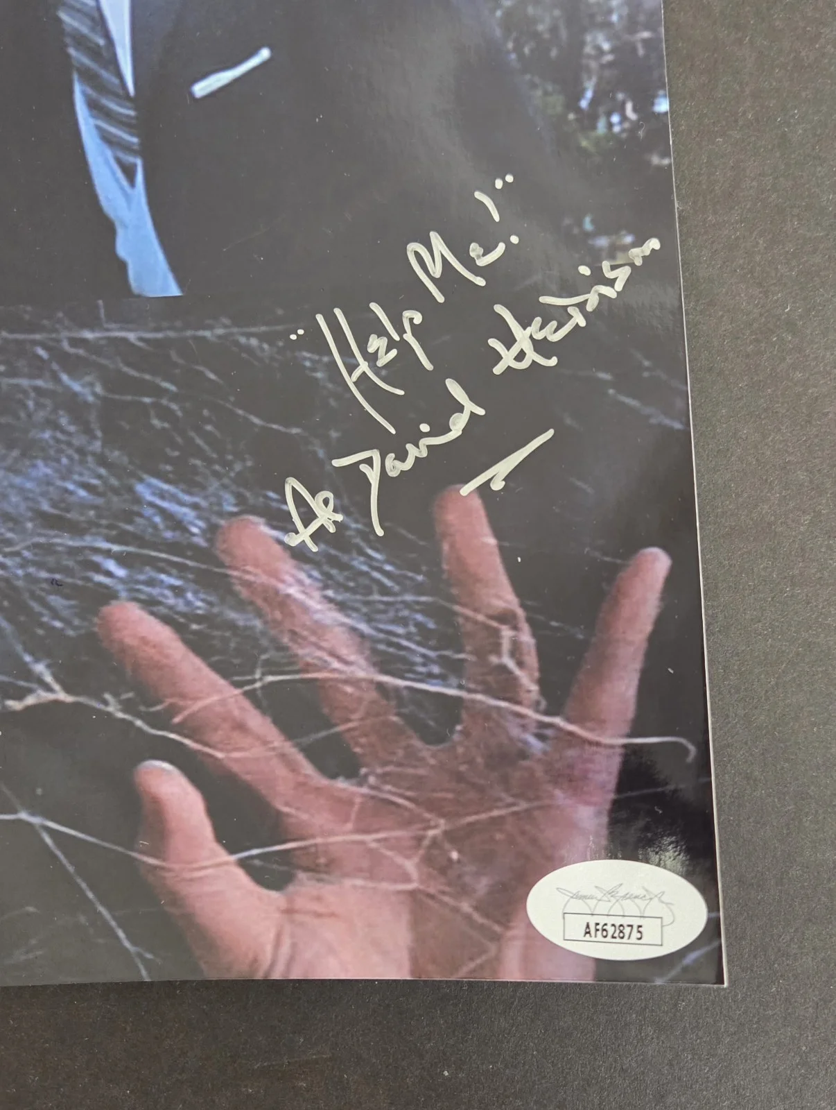 David Hedison — David Hedison signed Help Me! The Fly movie photo Jsa Authenticated, image 2