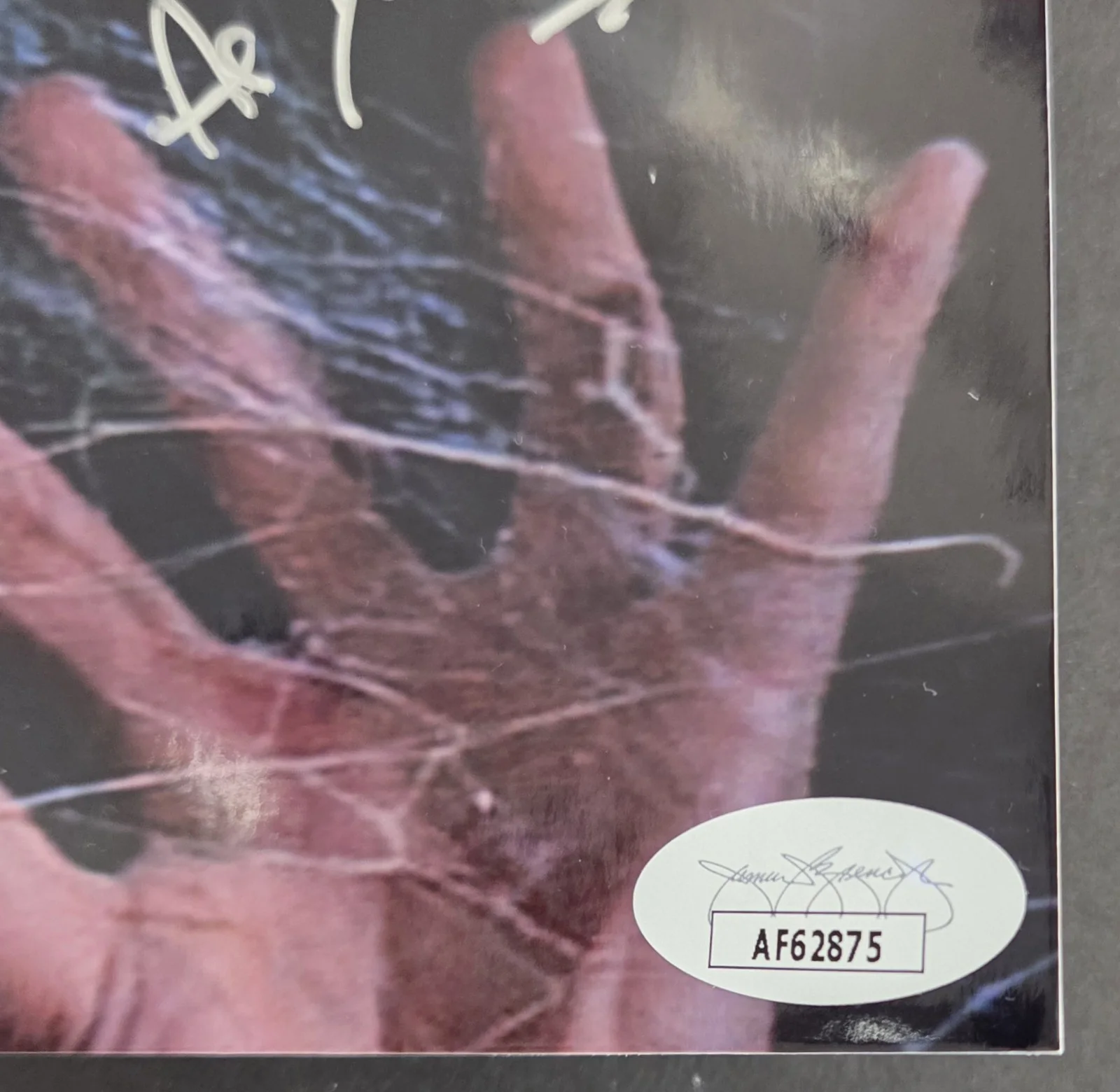 David Hedison — David Hedison signed Help Me! The Fly movie photo Jsa Authenticated, image 3