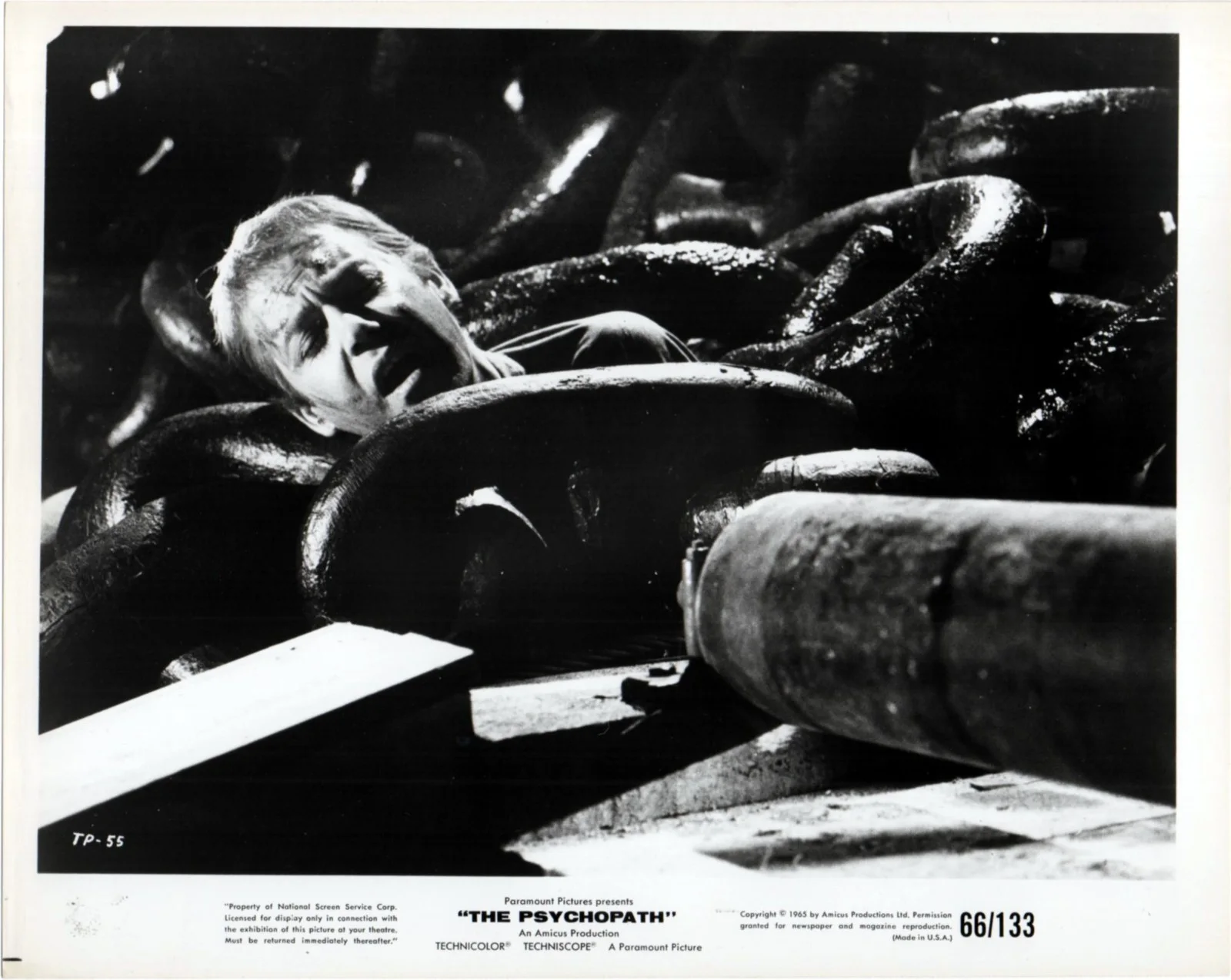 PSYCHOPATH 1966 Patrick Wymark, Thorley Walters, Judy Huxtable 8 10x8 STILLS, изображение 4