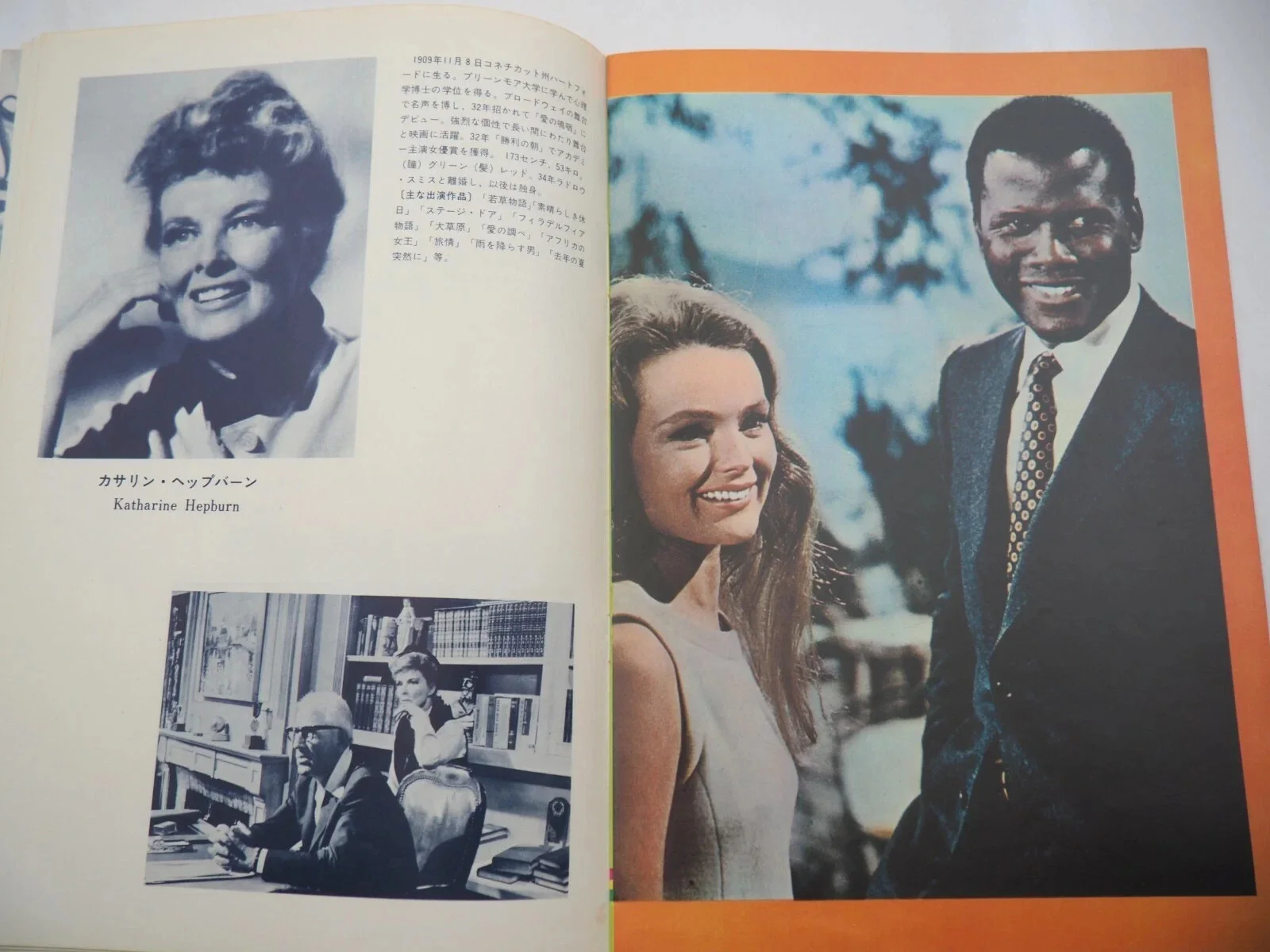 Guess Who's Coming to Dinner - PROGRAM USED JAPANESE ORIGINAL ISSUE, image 3