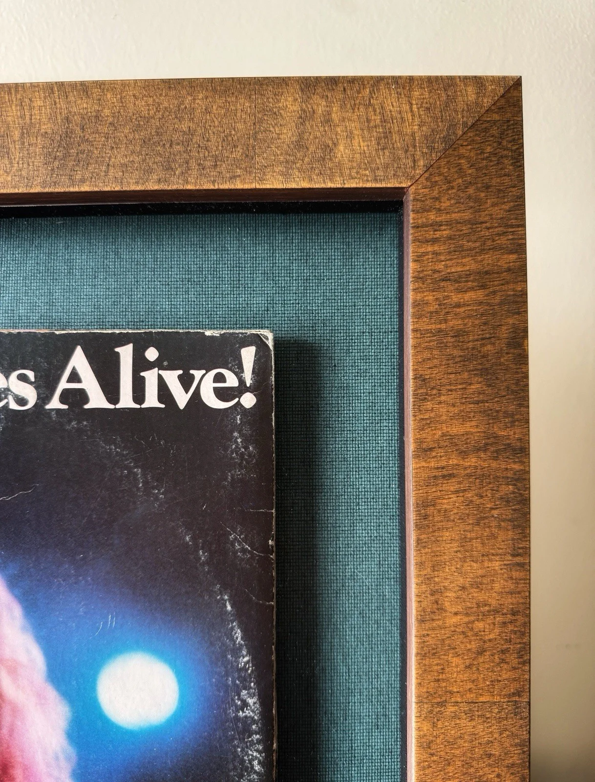 Peter Frampton Signed 1976 Copy Of Frampton Comes Alive & Unused Concert Ticket, изображение 4