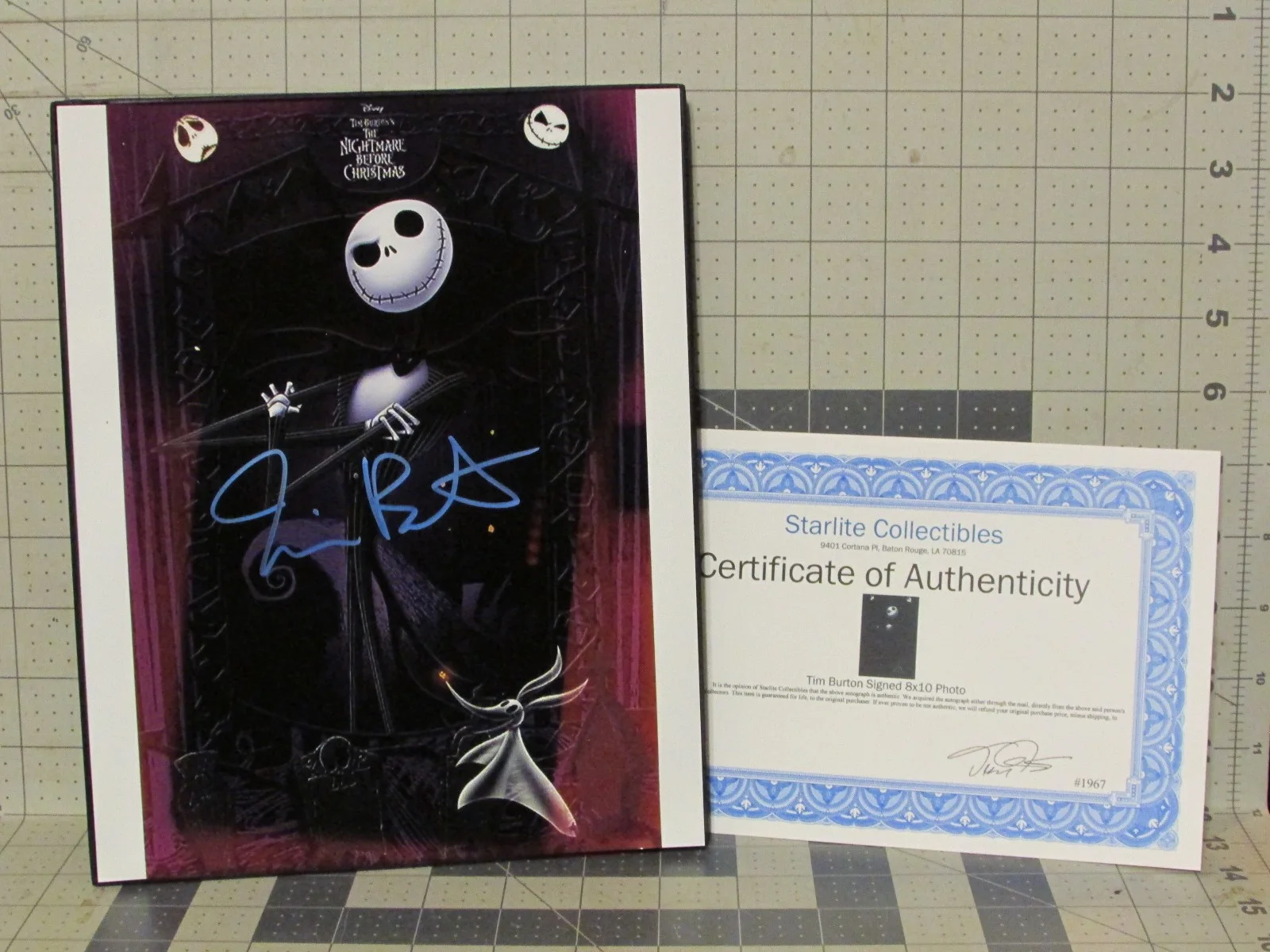 Tim Burton — Tim Burton Autograph Signature Signed Autographed 8x10 Photo COA, FREE SHIP / 48