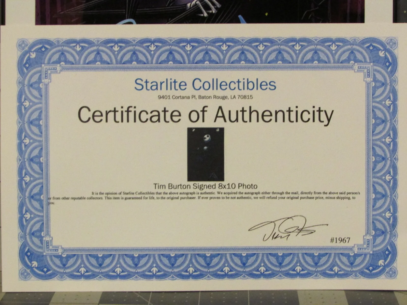 Tim Burton — Tim Burton Autograph Signature Signed Autographed 8x10 Photo COA, FREE SHIP / 48, изображение 3