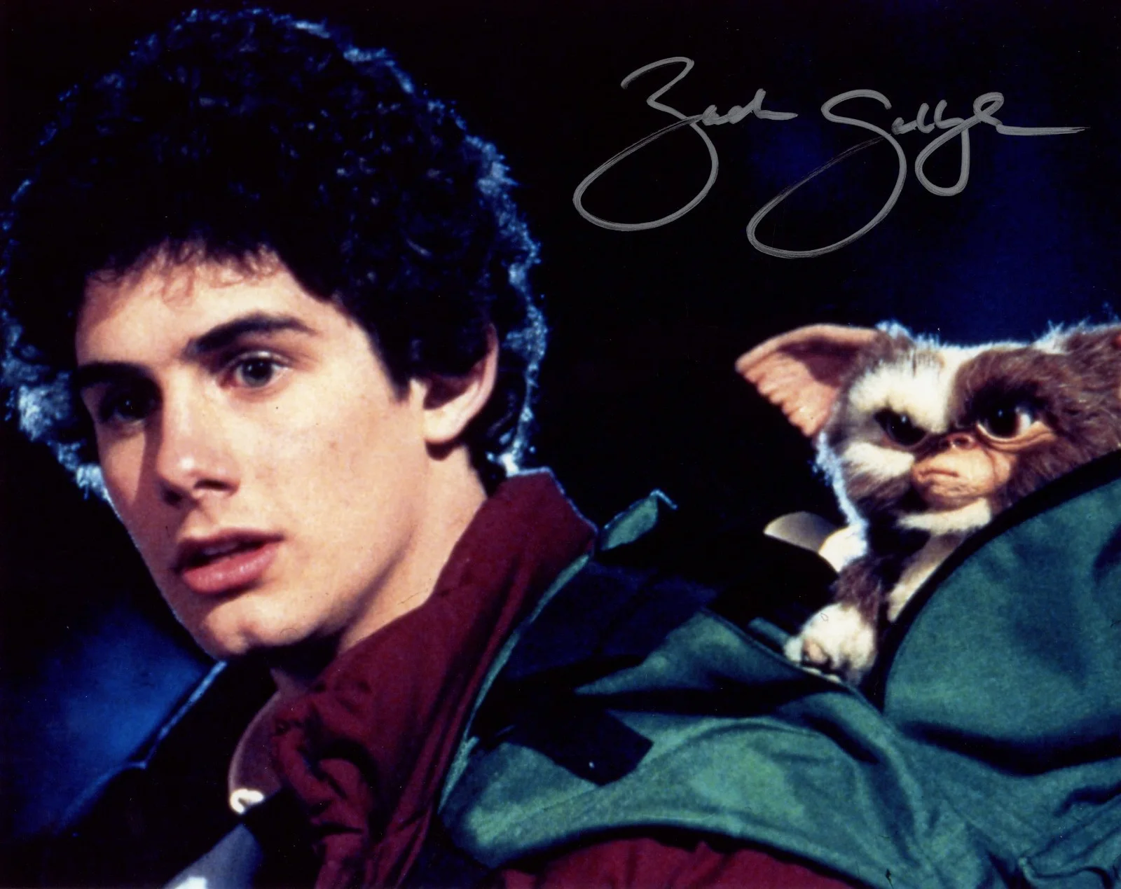 Zach Galligan — Zach Galligan Gremlins 8x10 Signed Photo JSA Certified Autograph