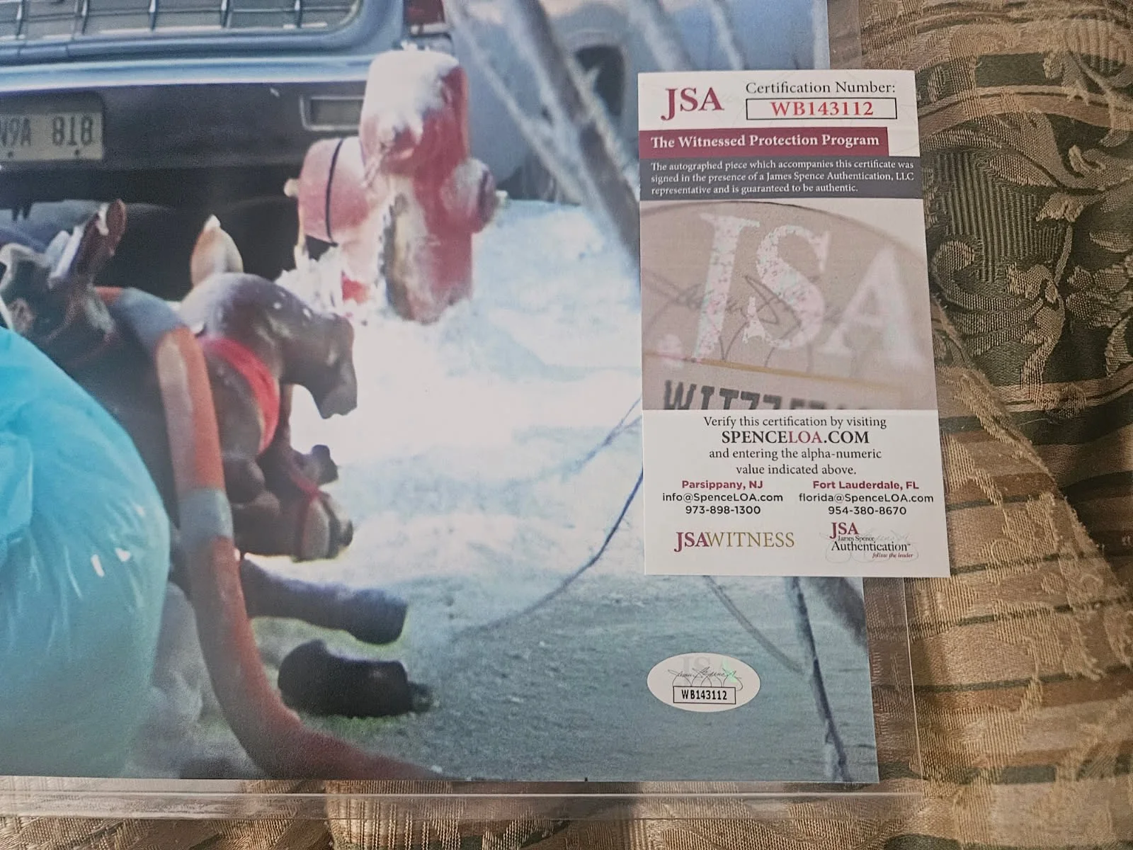 Randy Quaid — Christmas Vacation Randy Quaid signed 16x20 color photo Shi%$ Full added JSA, изображение 3