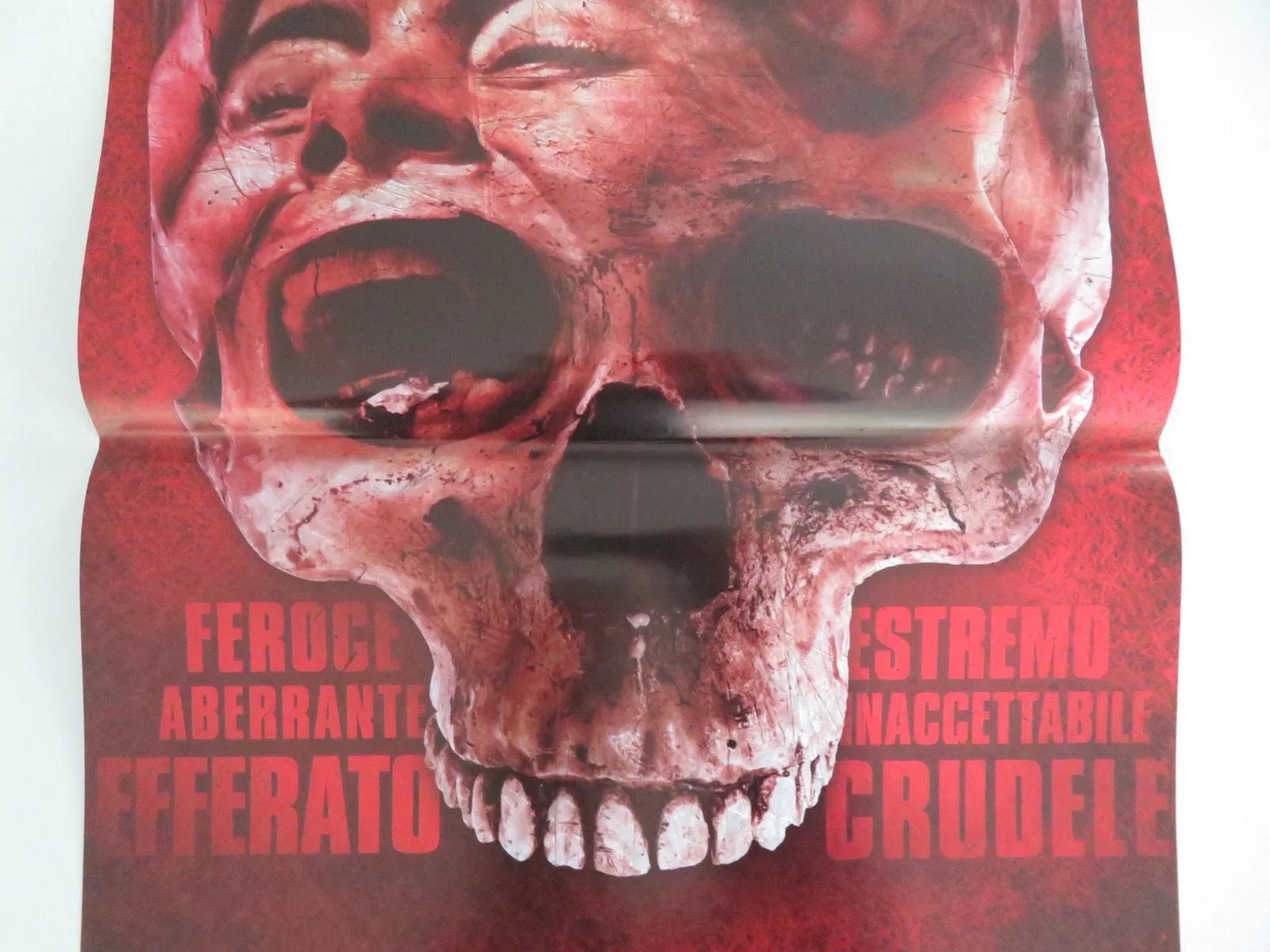 THE GREEN INFERNO ITALIAN LOCANDINA POSTER LORENZA IZZO ARIEL LEVY 2013, изображение 3