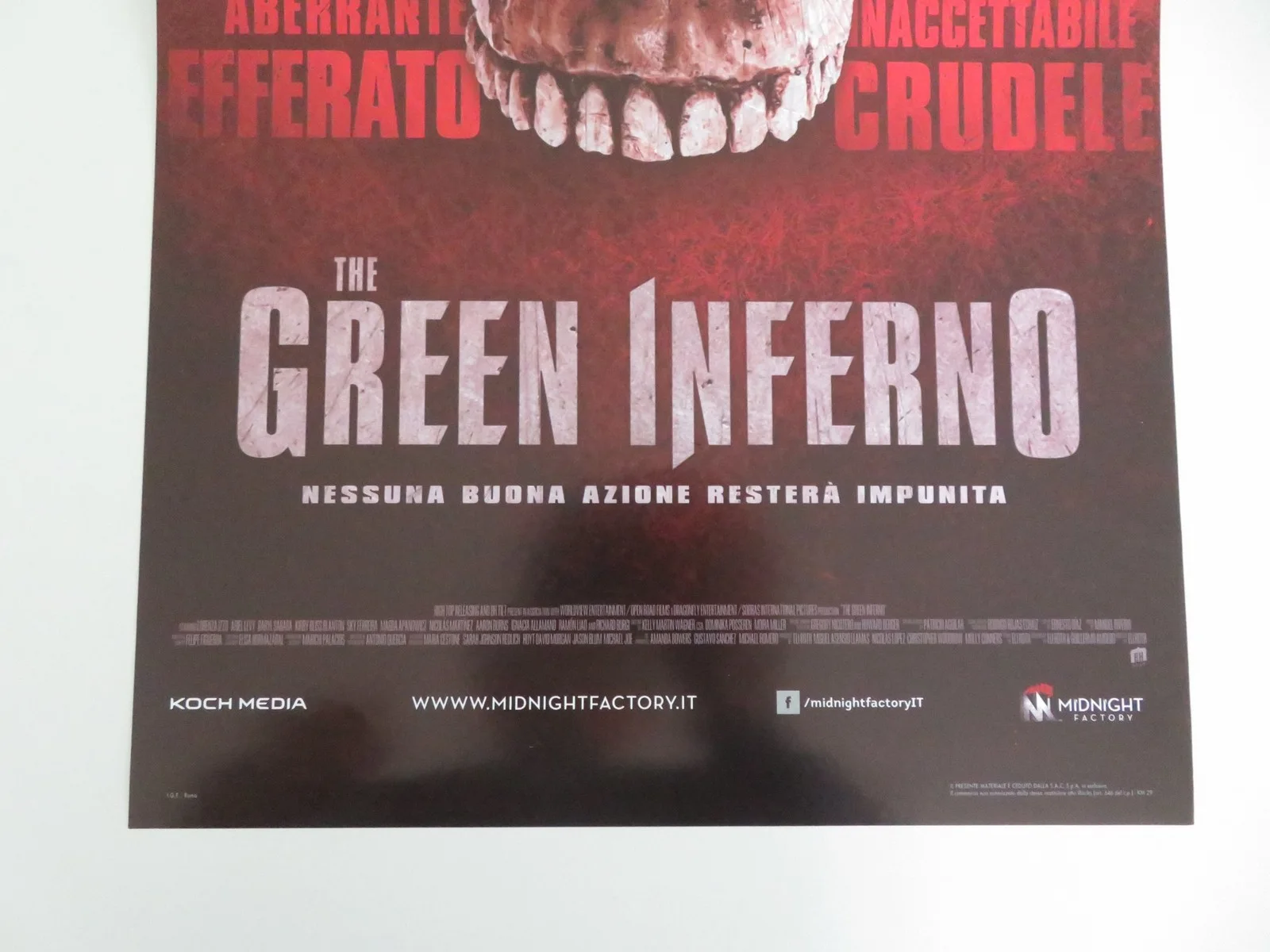 THE GREEN INFERNO ITALIAN LOCANDINA POSTER LORENZA IZZO ARIEL LEVY 2013, изображение 4