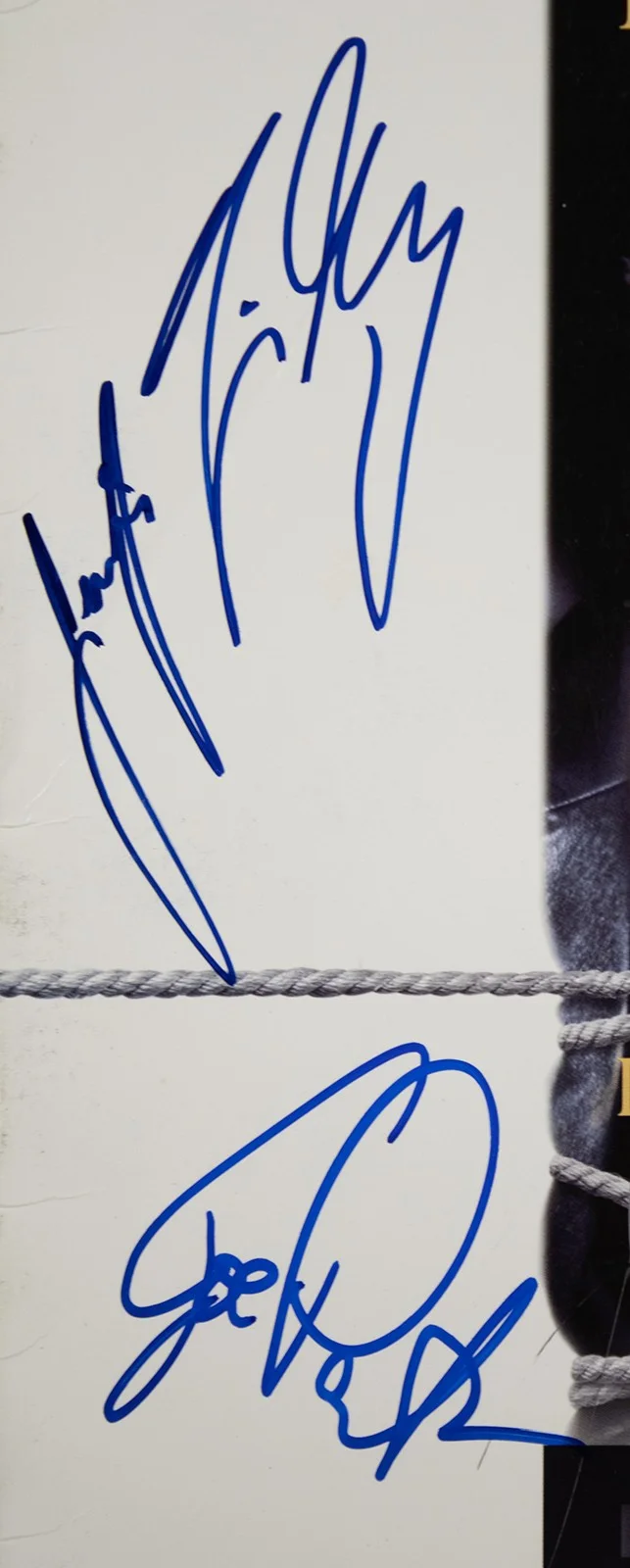 Gina Gershon, Joe Pantoliano, Jennifer Tilly — BOUND MOVIE CAST - LASER MEDIA COVER SIGNED WITH CO-SIGNERS, image 2