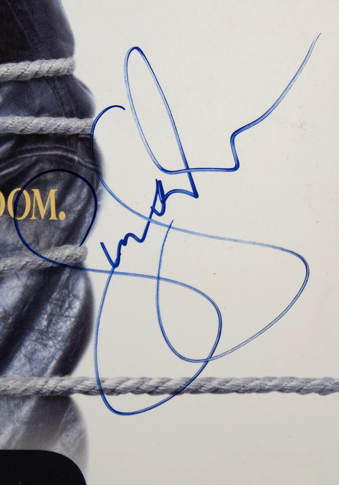 Gina Gershon, Joe Pantoliano, Jennifer Tilly — BOUND MOVIE CAST - LASER MEDIA COVER SIGNED WITH CO-SIGNERS, image 3