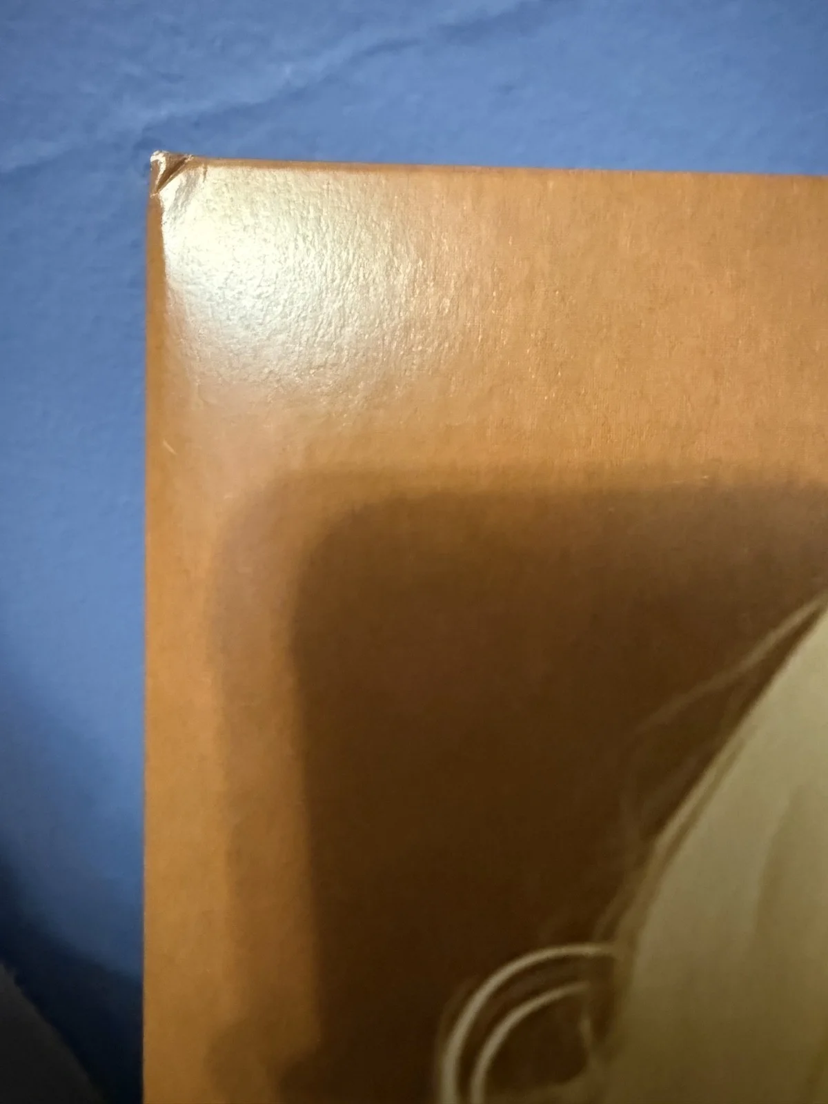 Cardi B signed Am I The Drama Court Room edition 12" lp album COLOR VINYL, изображение 3