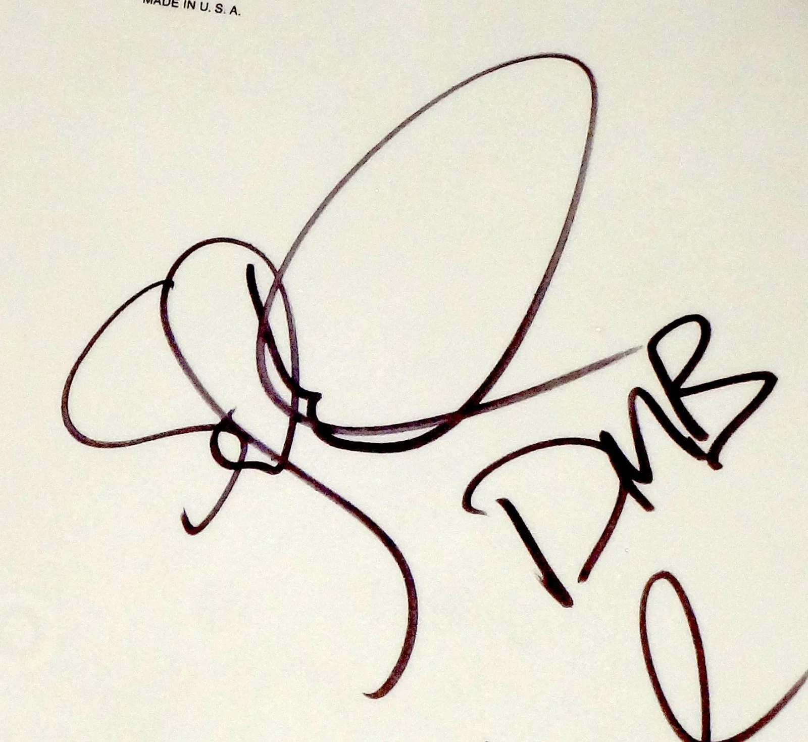 DAVE MATTHEWS BAND HAND SIGNED AUTOGRAPHED DRUMHEAD BY ALL 3! RARE W/PROOF +COA!, изображение 3