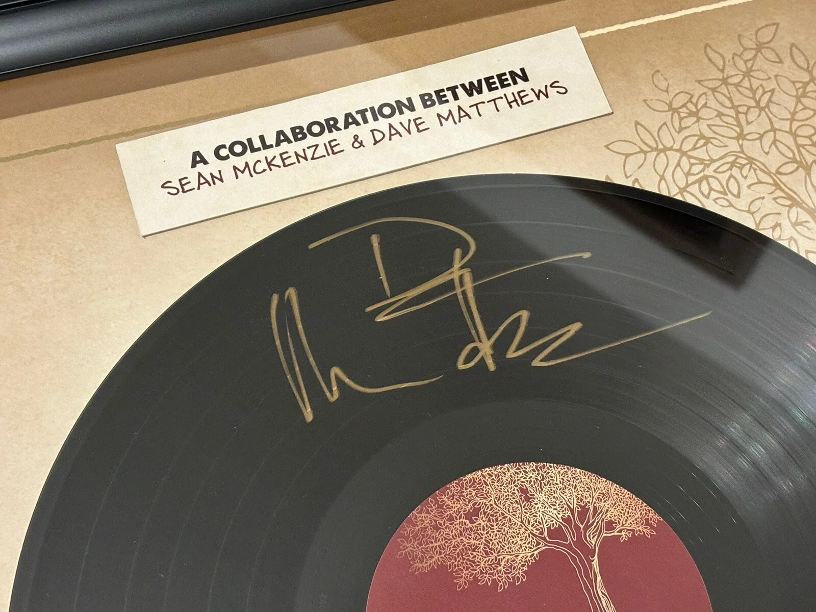 Dave Matthews And Sean McKenzie Signed Autograph Dreaming Tree Wines Frame Rare!, image 2