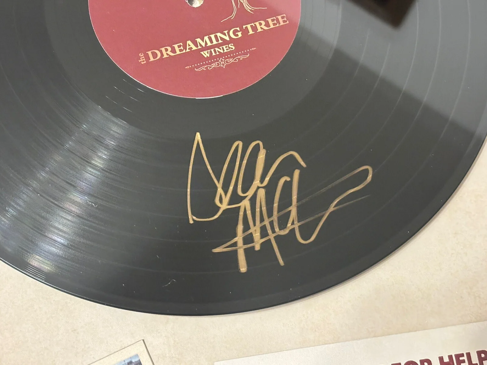 Dave Matthews And Sean McKenzie Signed Autograph Dreaming Tree Wines Frame Rare!, image 3