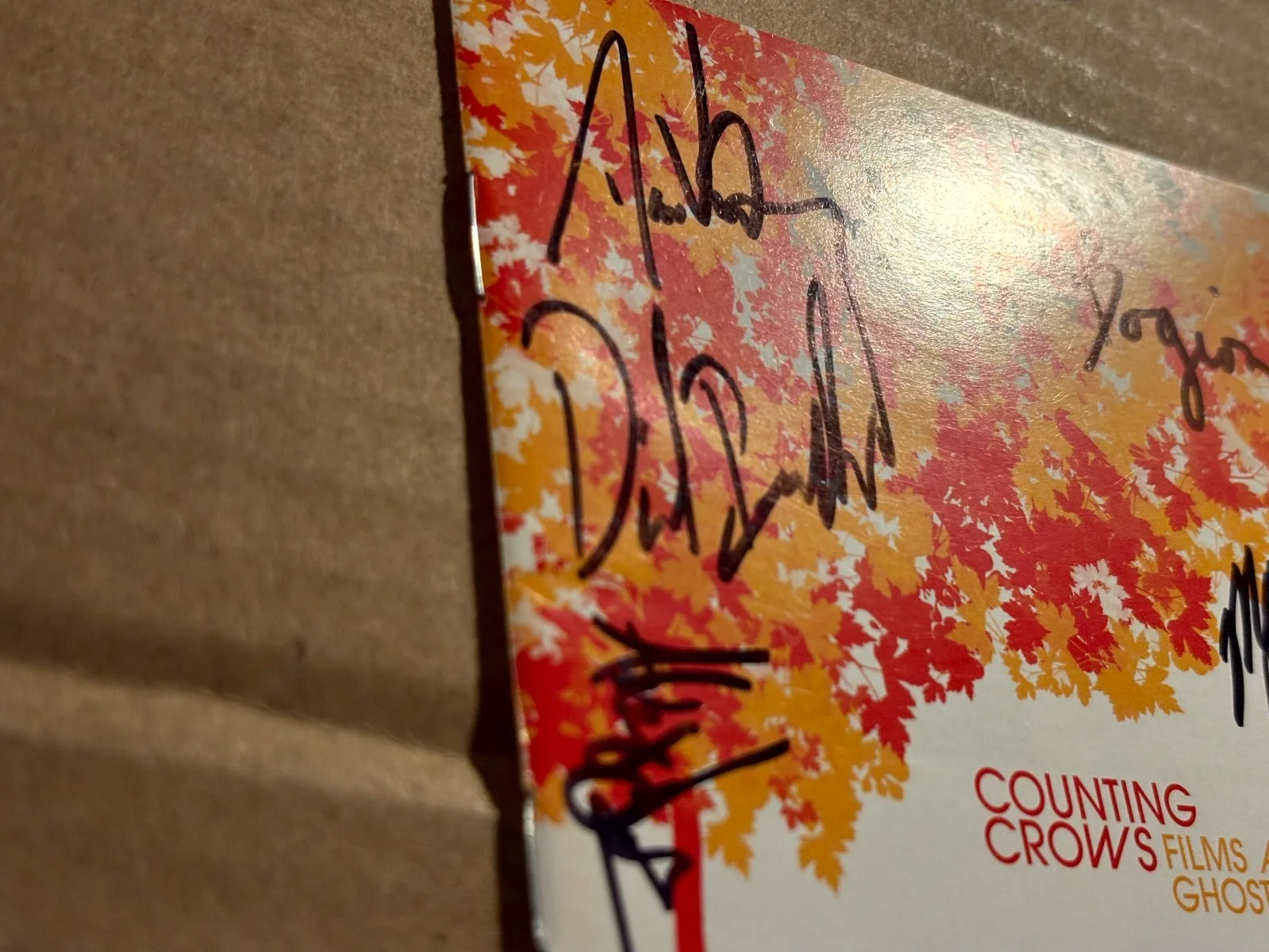 The Best of Counting Crows Autographed CD Sleeve Films About Ghosts, изображение 4