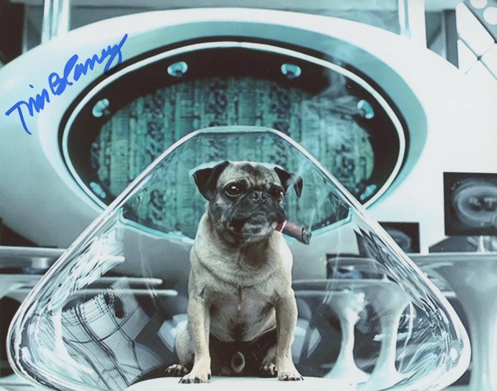 Tim Blaney — Tim Blaney "Men in Black" AUTOGRAPH Signed 'Frank the Pug' 8x10 Photo C, изображение 2