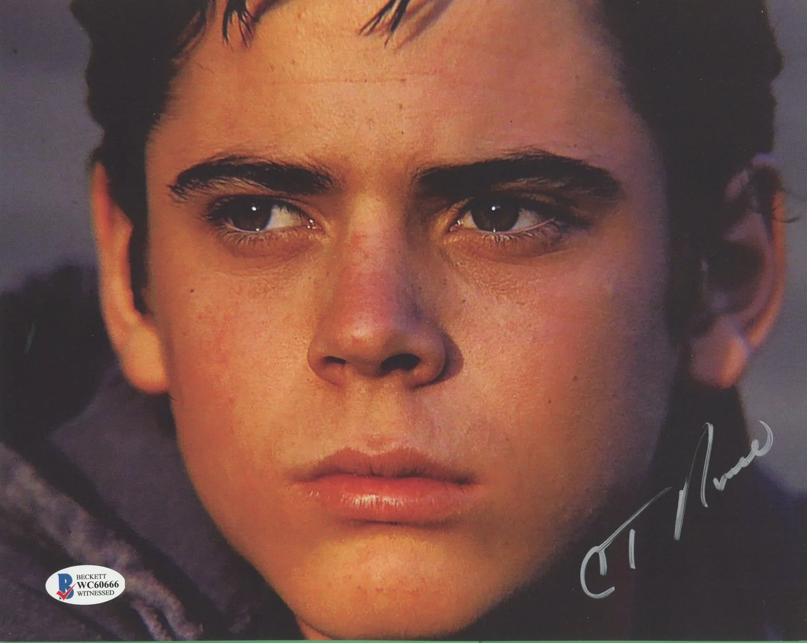C. Thomas Howell — C. Thomas Howell "The Outsiders" AUTOGRAPH Signed 'Ponyboy' 8x10 Photo Beckett