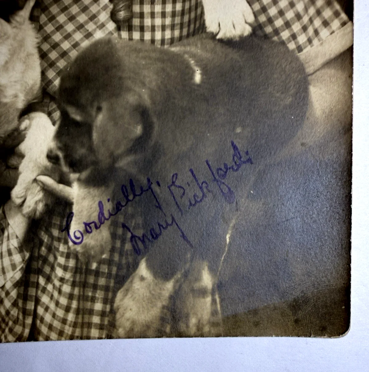 Mary Pickford — Mary Pickford Signed Photograph Canadian American Silent Film Era Actress, изображение 2