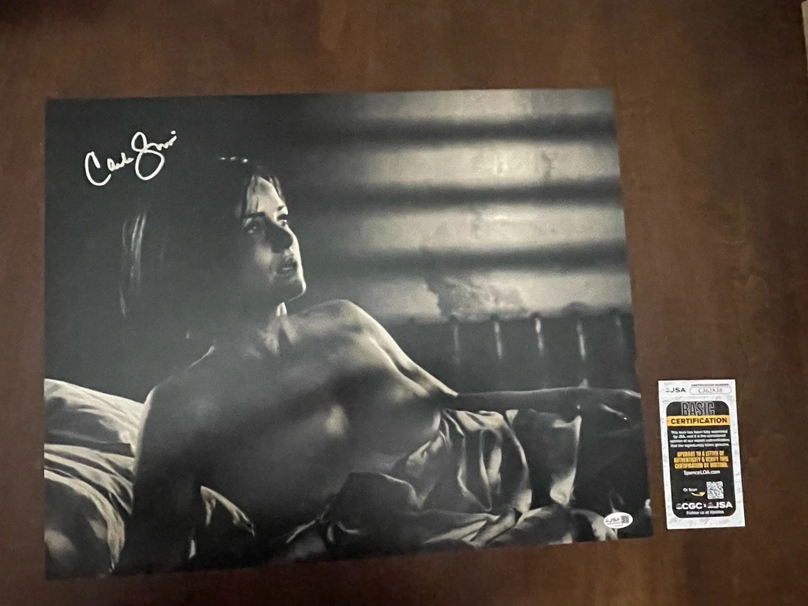 Carla Gugino — Carla Gugino autographed Hand signed 16x20 photo JSA Sin City Lucille (#2)