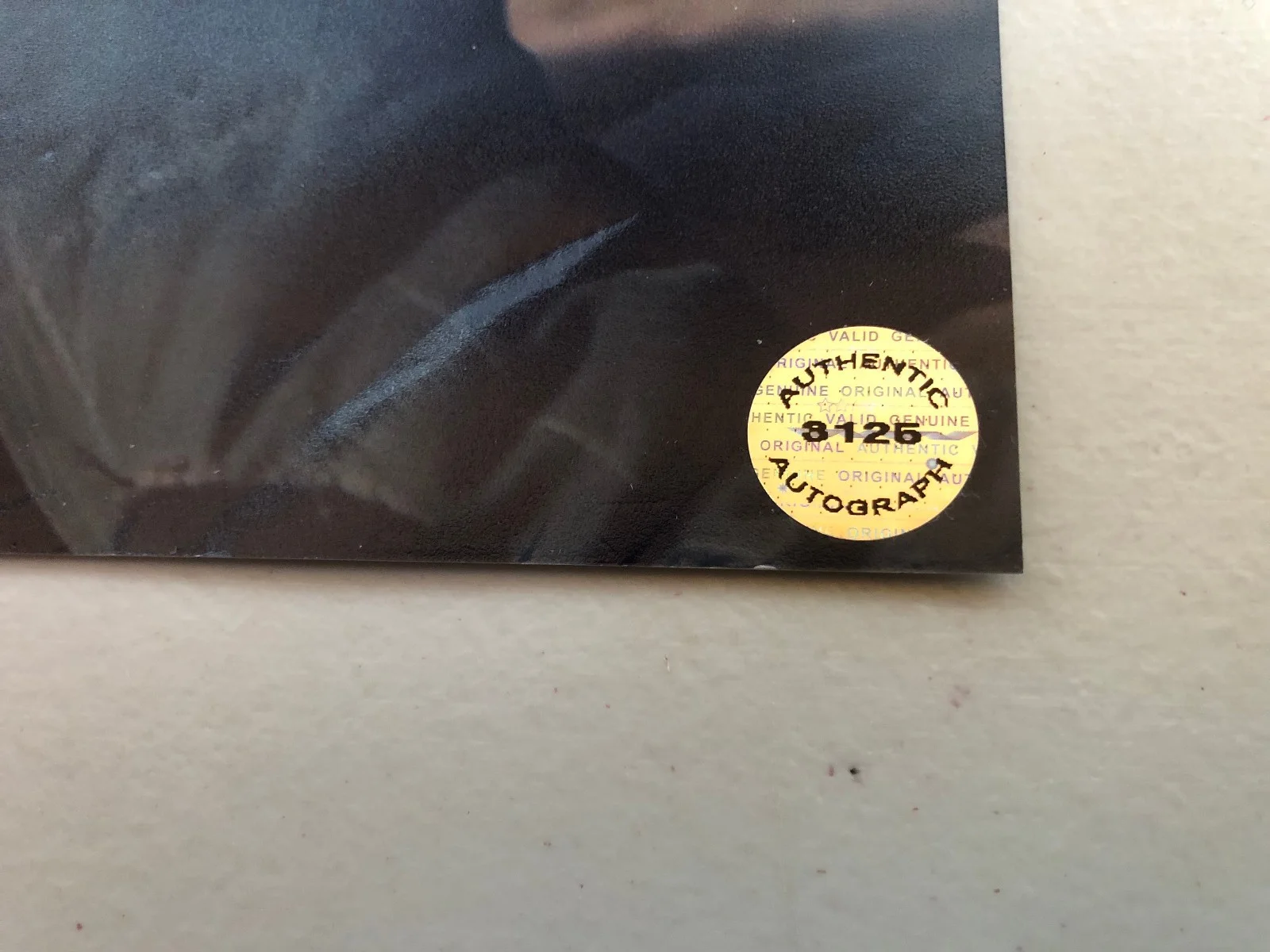 MILLIE BOBBY BROWN, FINN WOLFHARD — STRANGER THINGS - Millie Bobby Brown Finn Wolfhard Signed 2X Photo w/CofA, image 5
