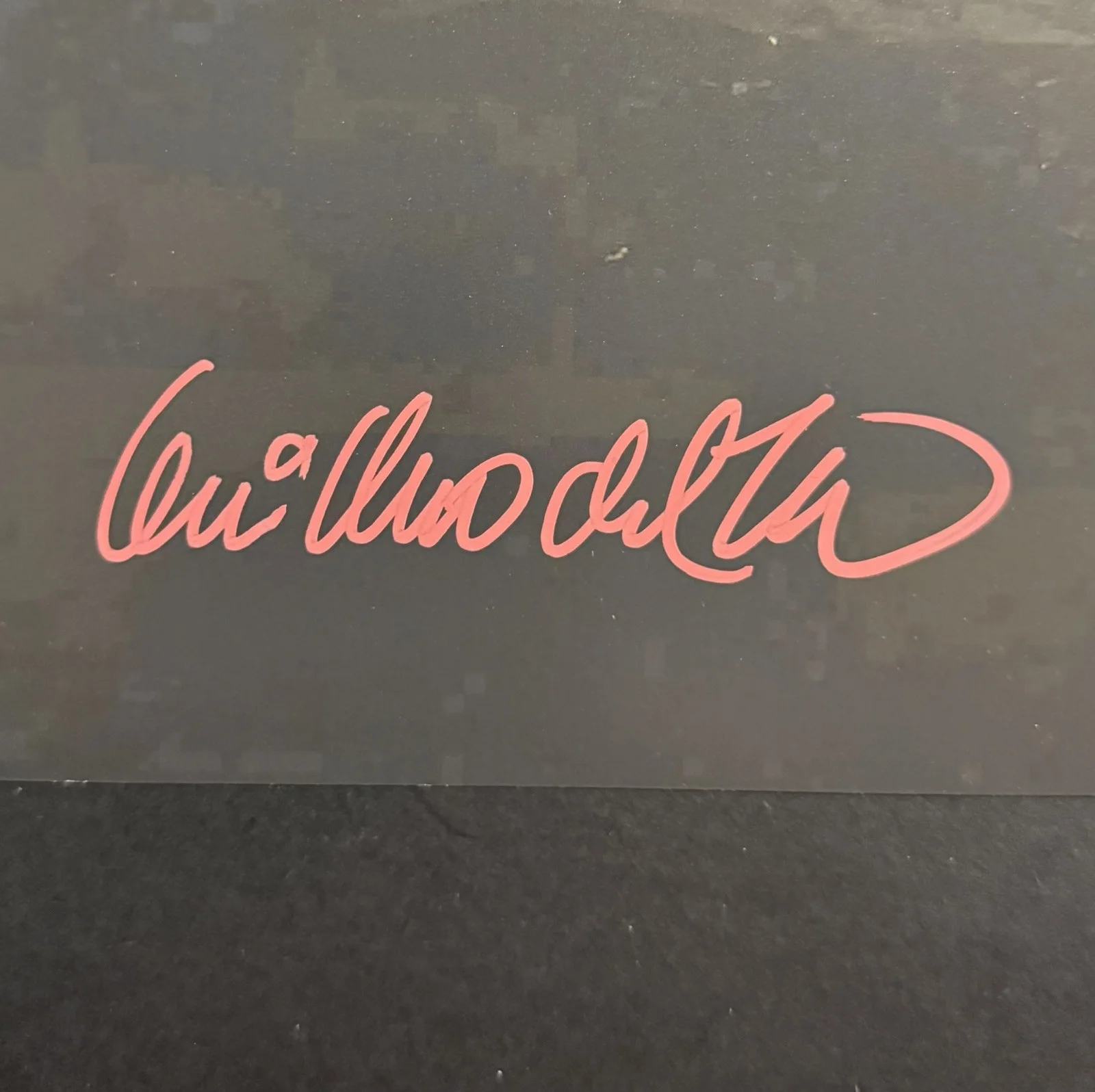 Guillermo Del Toro — Guillermo Del Toro signed photo 12x18 Frankenstein, image 2