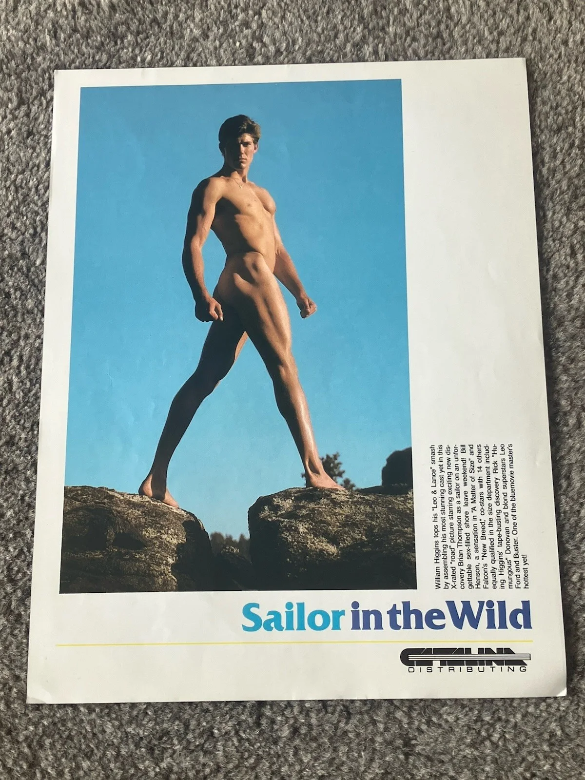 Leo & Lance,Sailor In The Wild 1983 gay VHS film press sheet.Brian Thompson,Ford, изображение 2