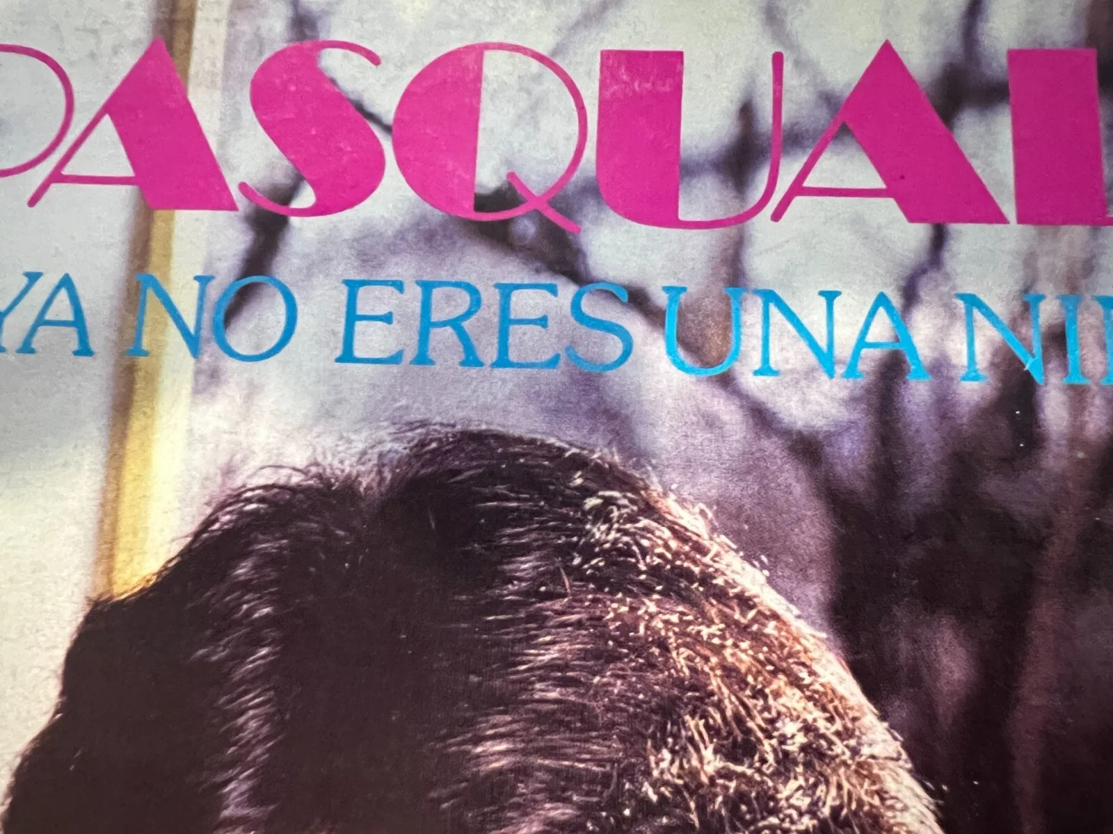 PASQUALE -"YA NO ERESUNANINA" -1980 MEXICAN LP, MAYBE HAS PASQUALE AUTOGRAPH, image 5